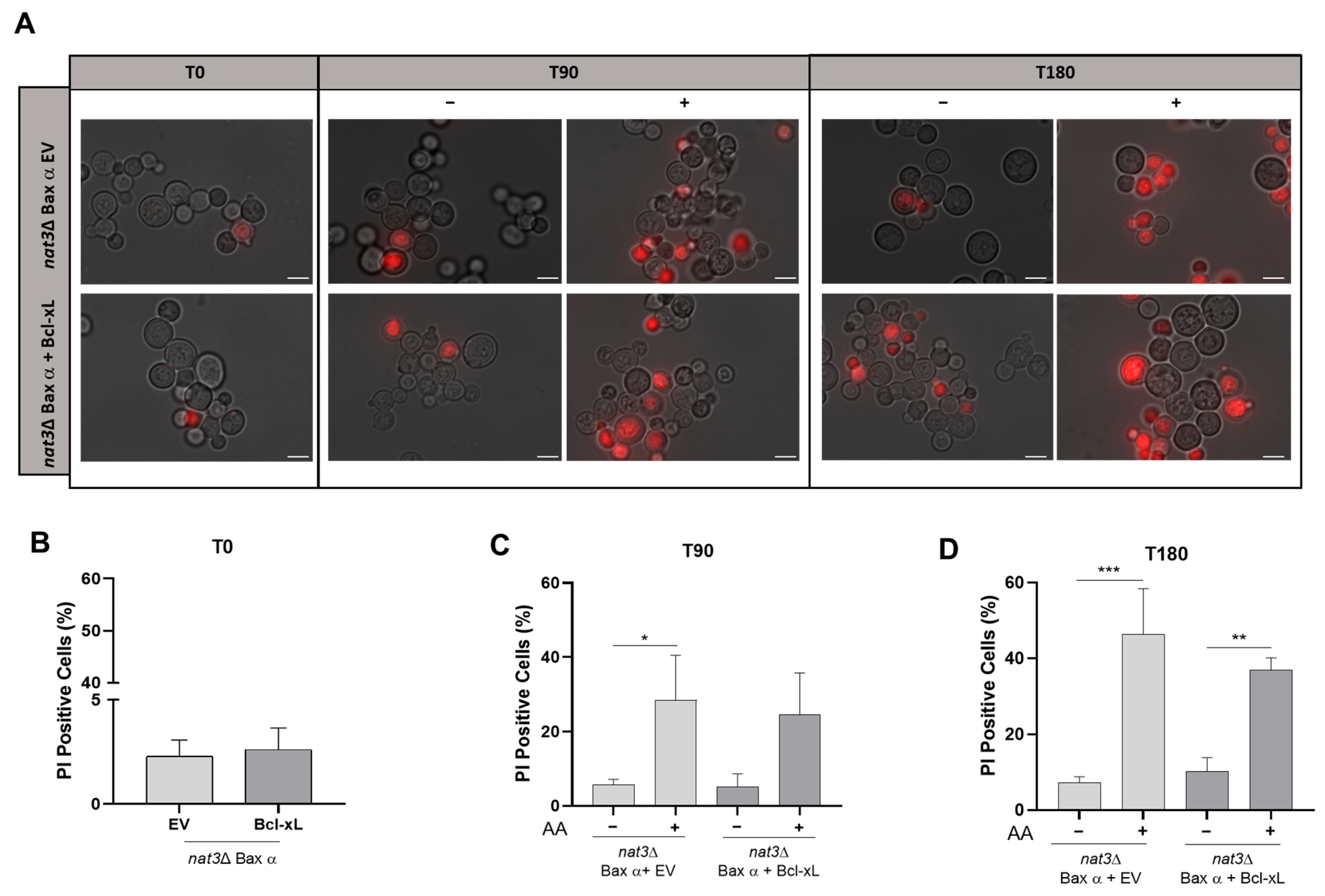 Biomolecules 15 01731 g004 Biomolecules 15 01731 g004