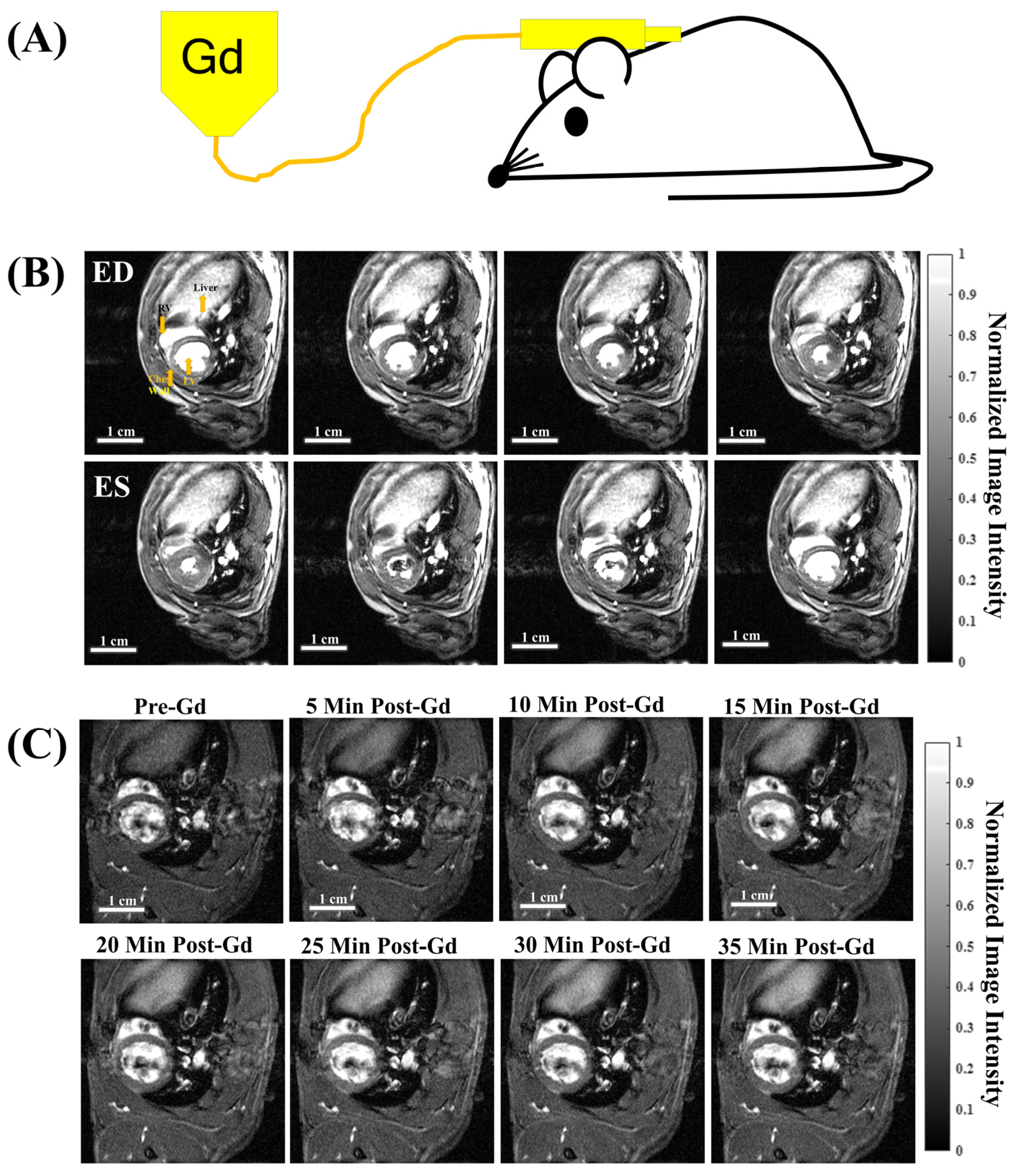 Biomolecules 15 01732 g001 Biomolecules 15 01732 g001