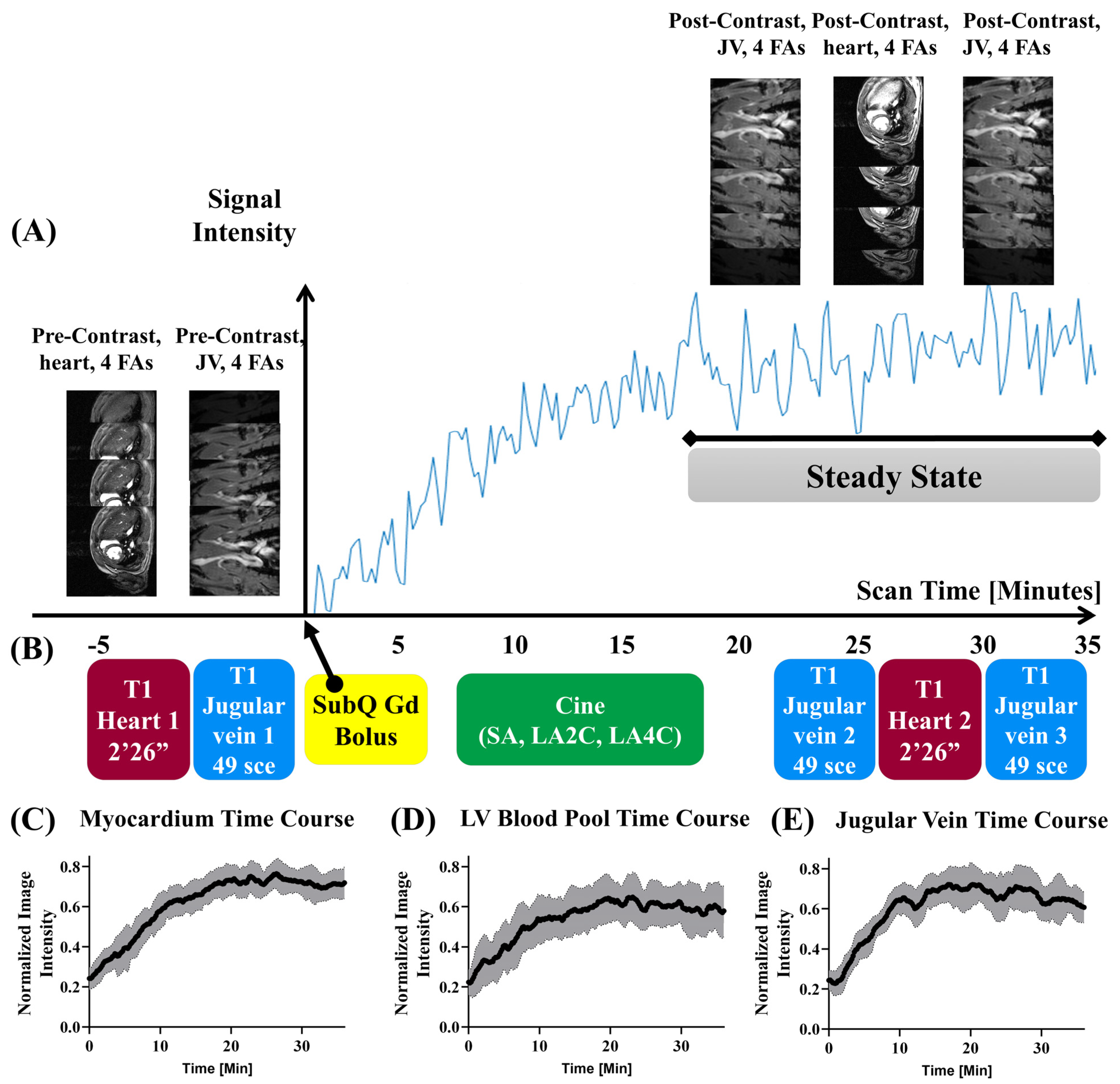 Biomolecules 15 01732 g002 Biomolecules 15 01732 g002