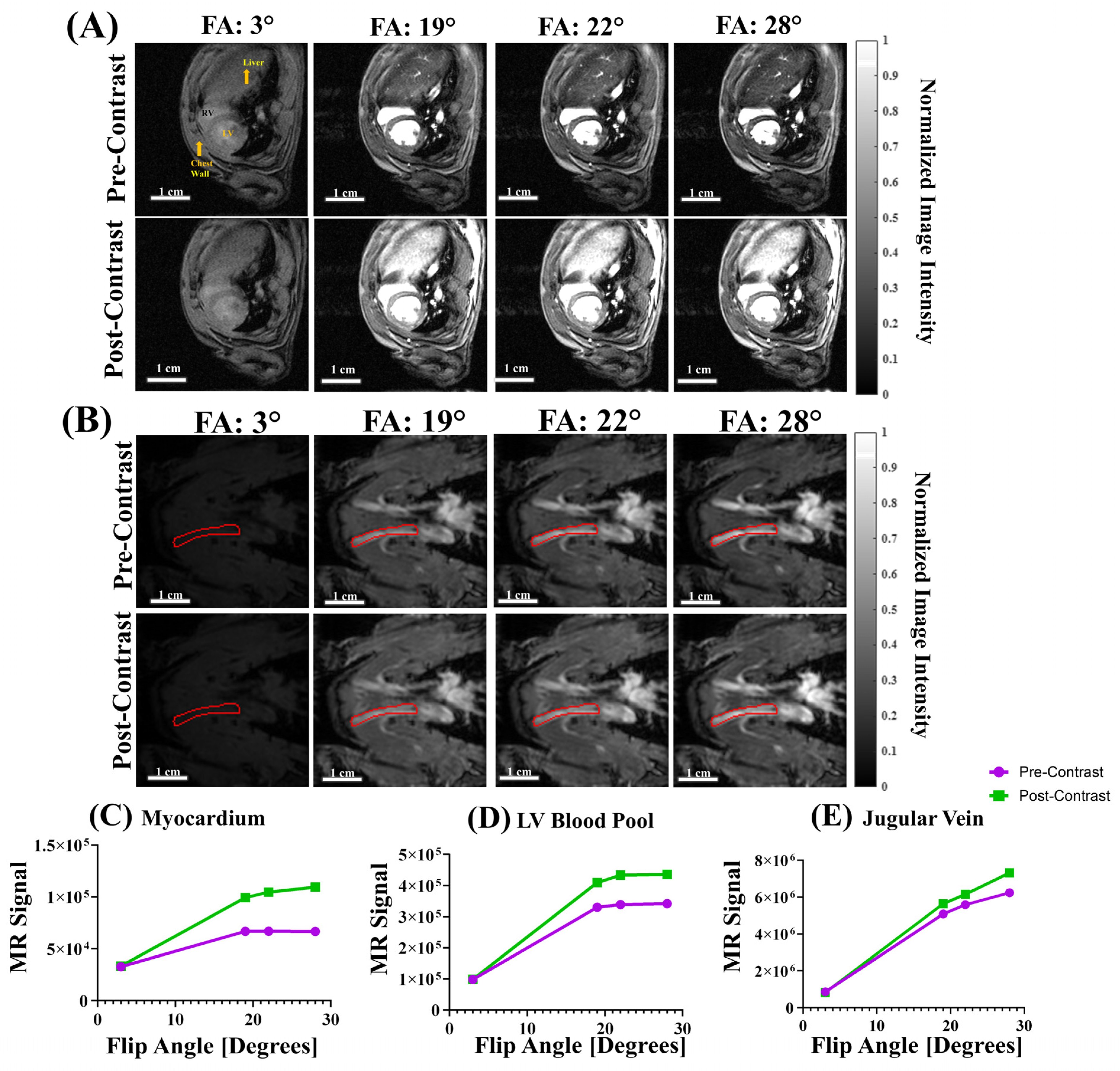 Biomolecules 15 01732 g003 Biomolecules 15 01732 g003