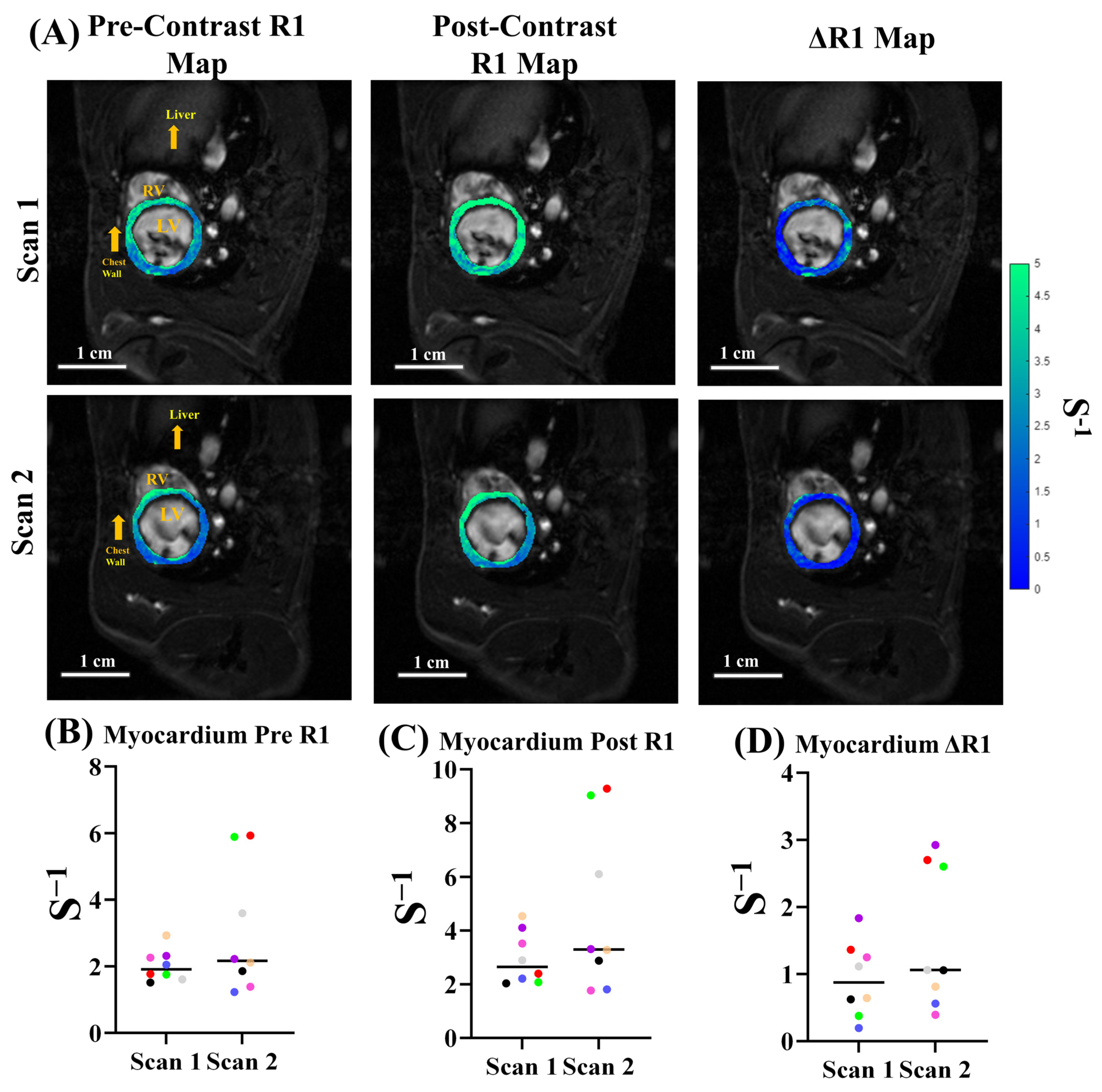 Biomolecules 15 01732 g004 Biomolecules 15 01732 g004