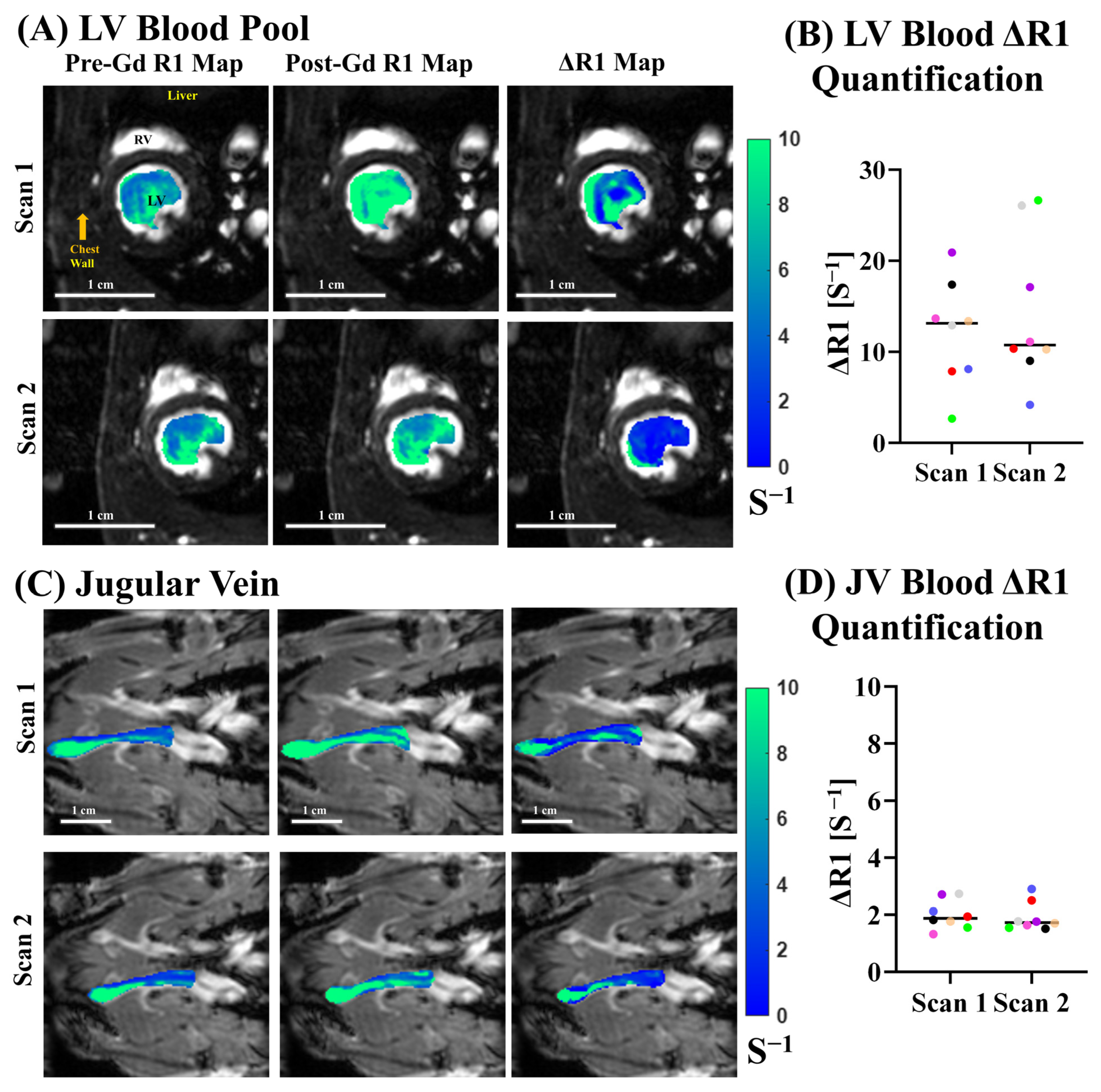 Biomolecules 15 01732 g005 Biomolecules 15 01732 g005