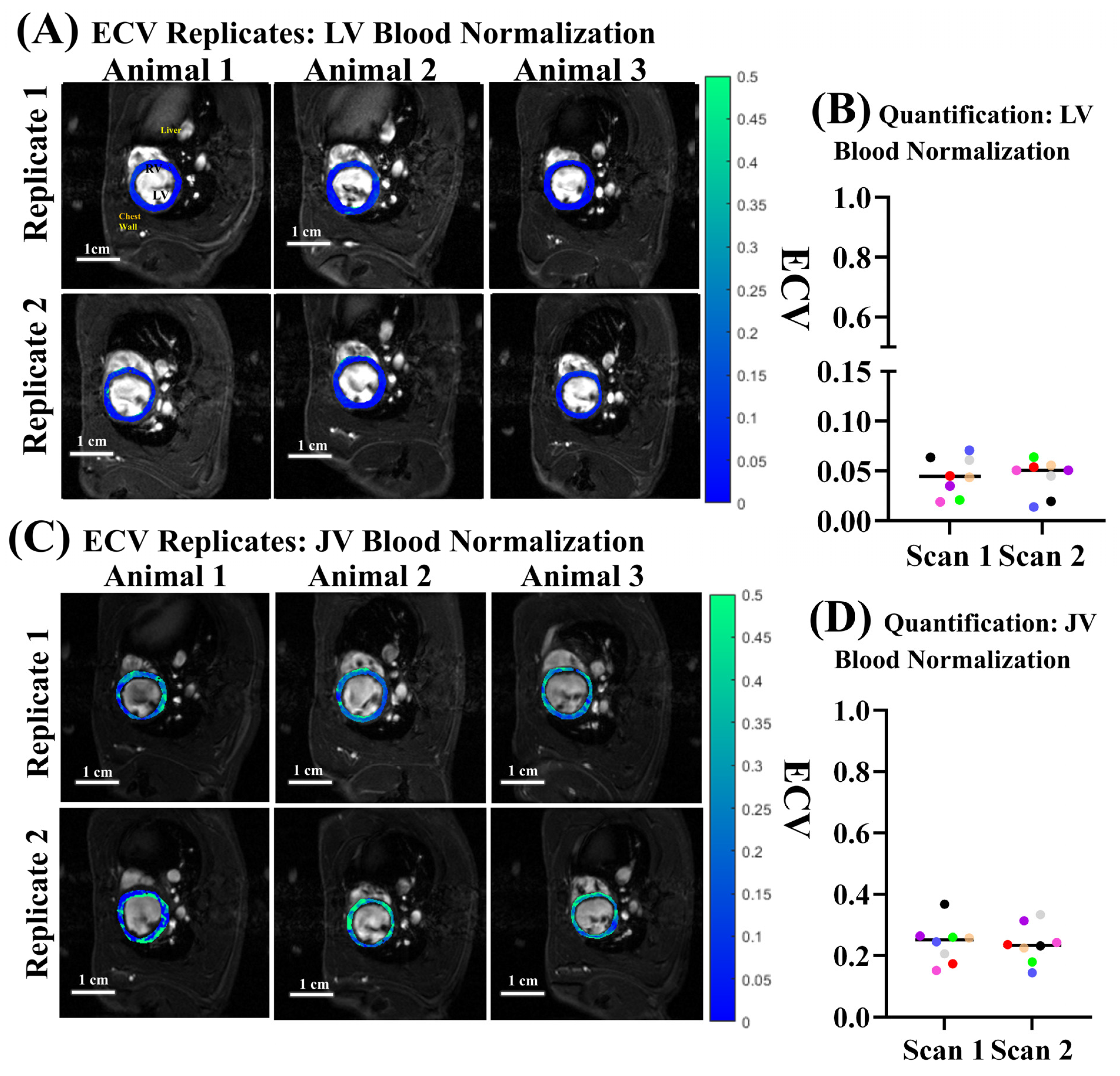Biomolecules 15 01732 g006 Biomolecules 15 01732 g006