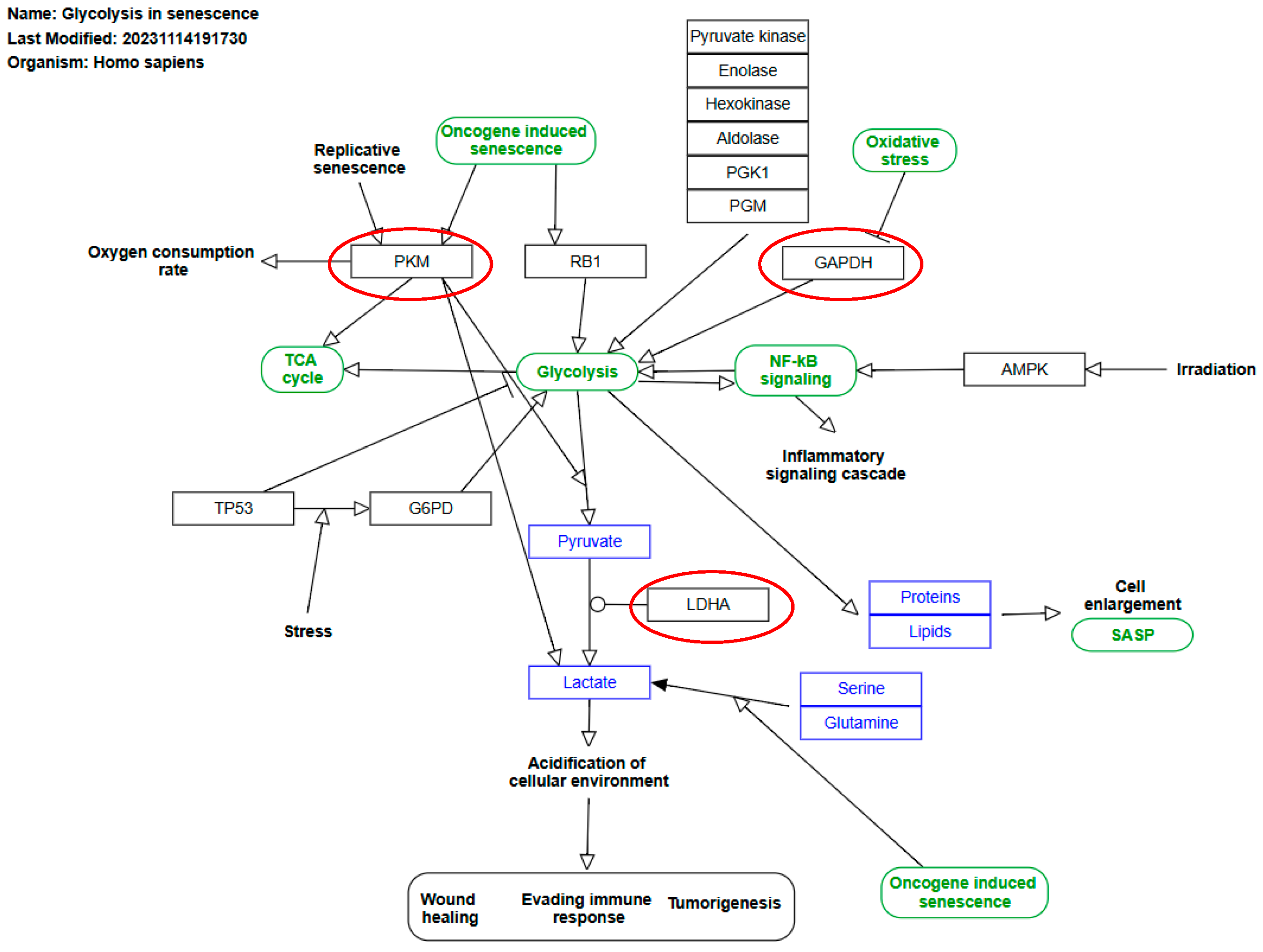 Biomolecules 15 01734 g006