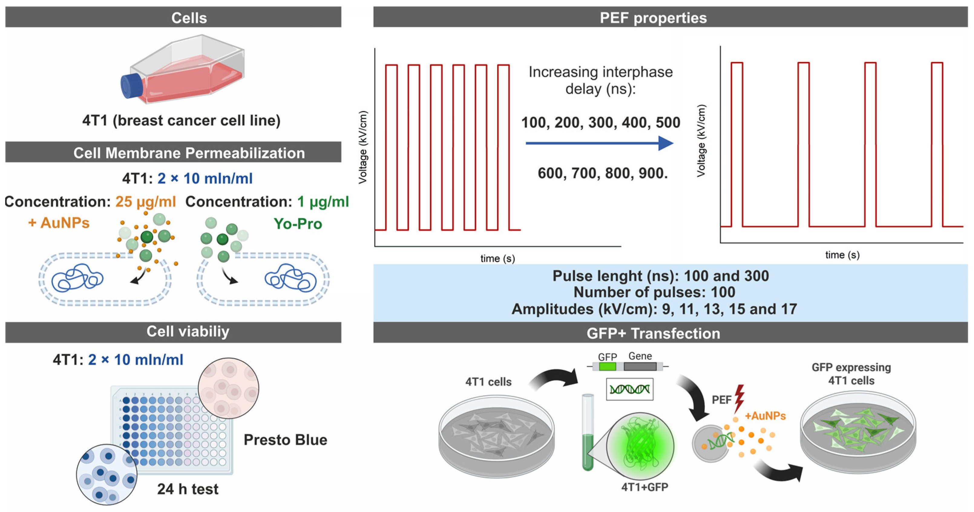 Biomolecules 15 01736 g001 Biomolecules 15 01736 g001