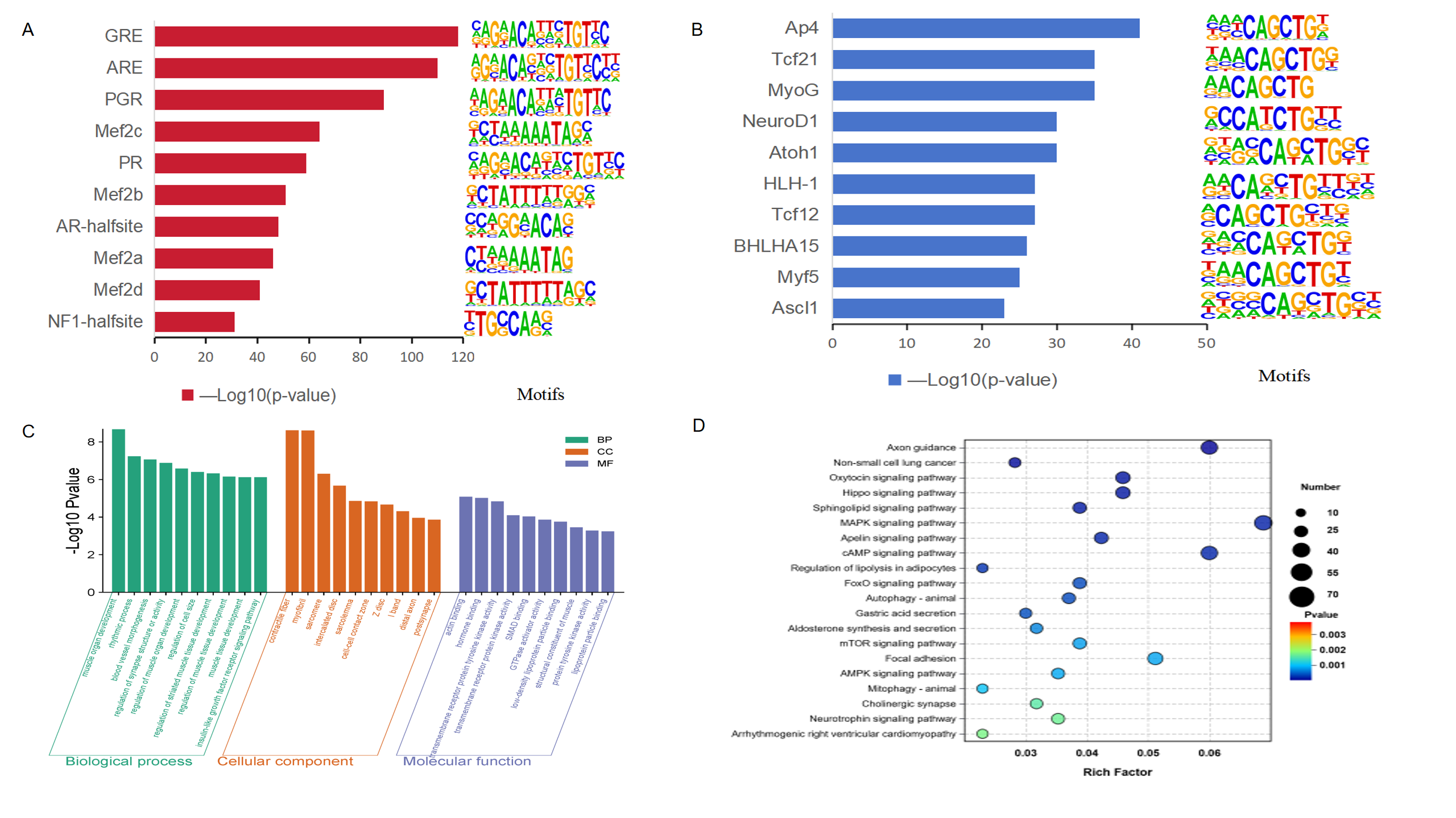 Biomolecules 15 01738 g003 Biomolecules 15 01738 g003