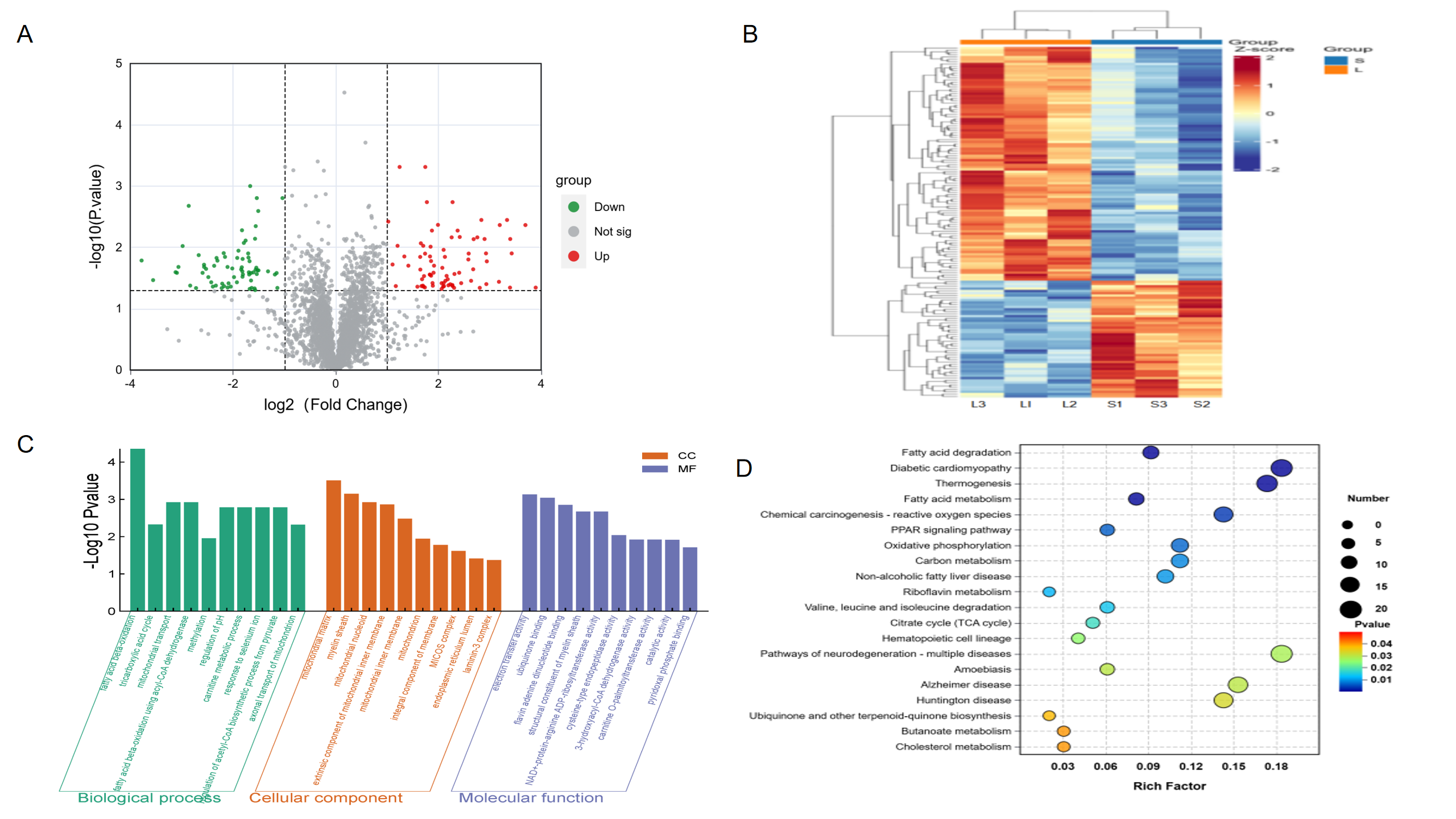 Biomolecules 15 01738 g005 Biomolecules 15 01738 g005