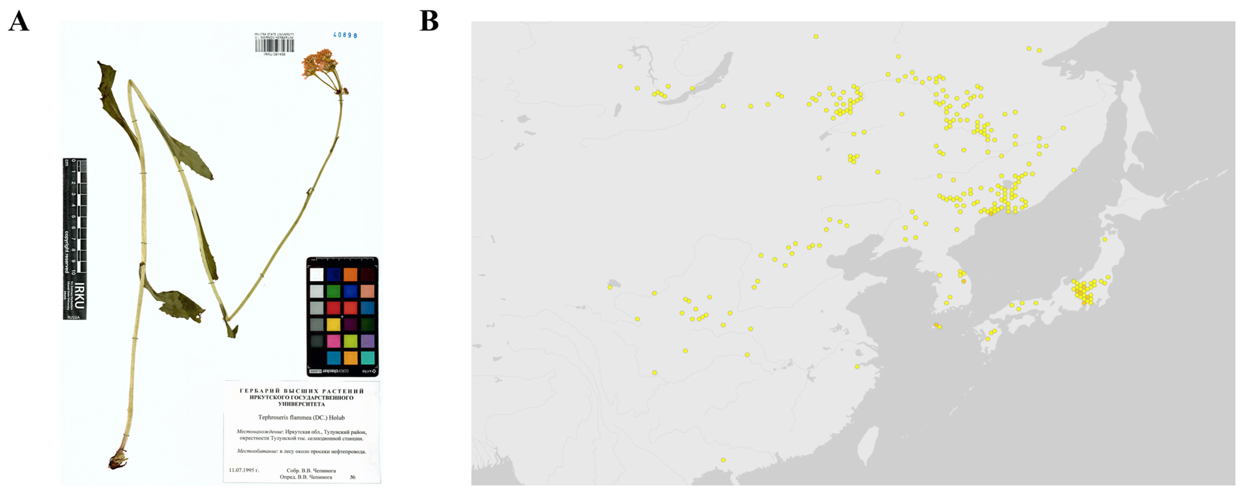 Biomolecules 15 01740 g001