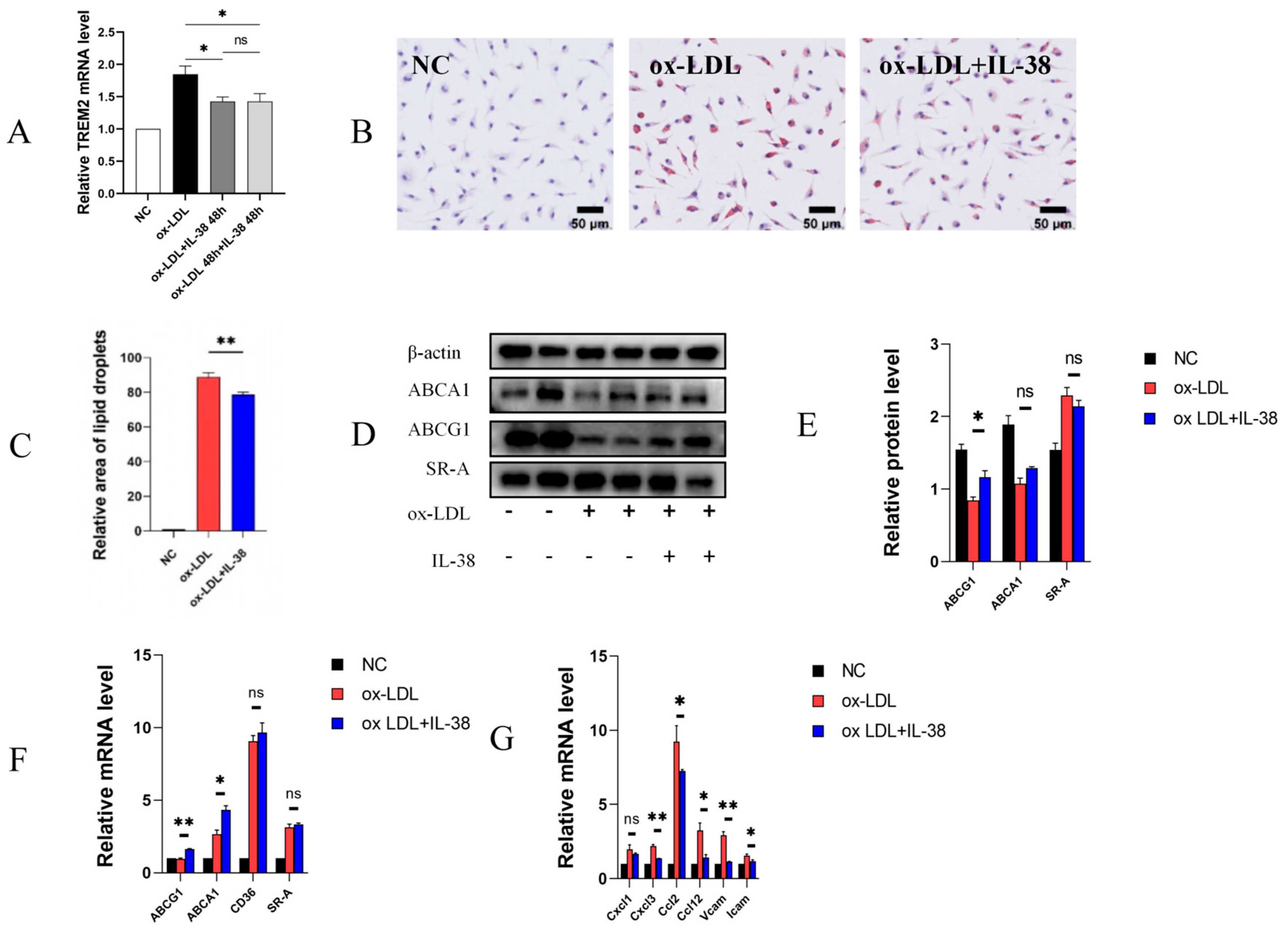 Biomolecules 15 01741 g002