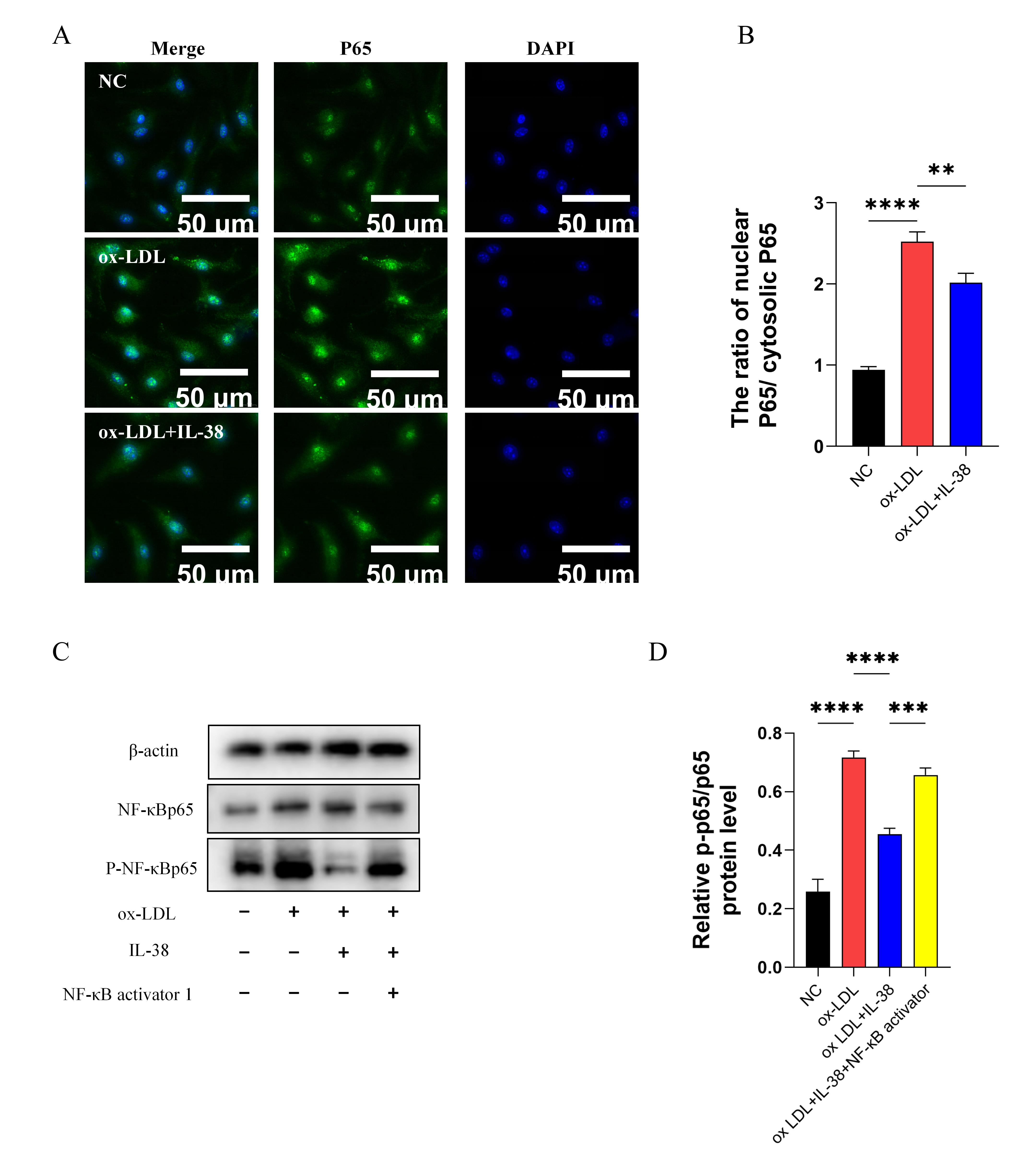 Biomolecules 15 01741 g006
