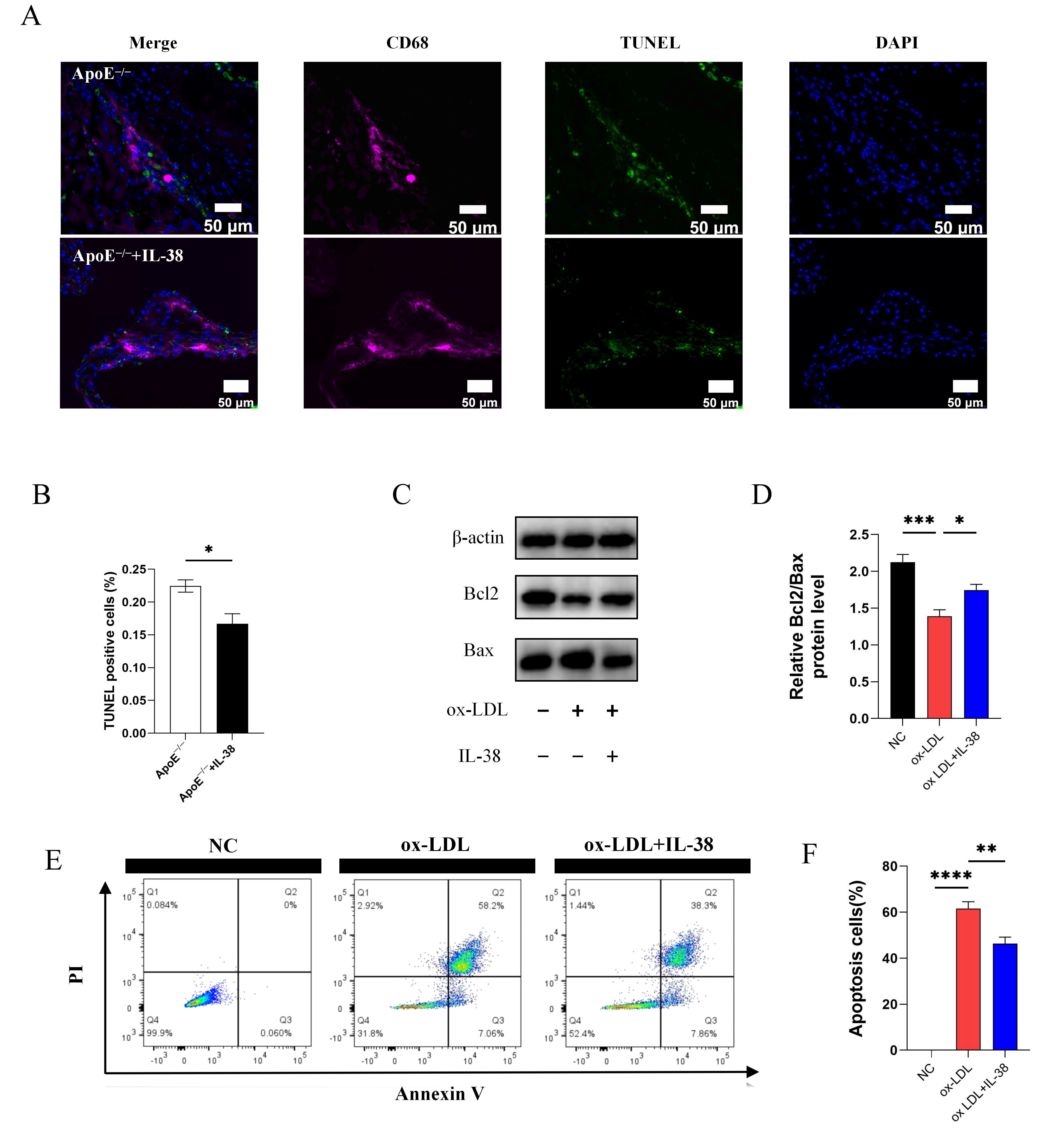 Biomolecules 15 01741 g007