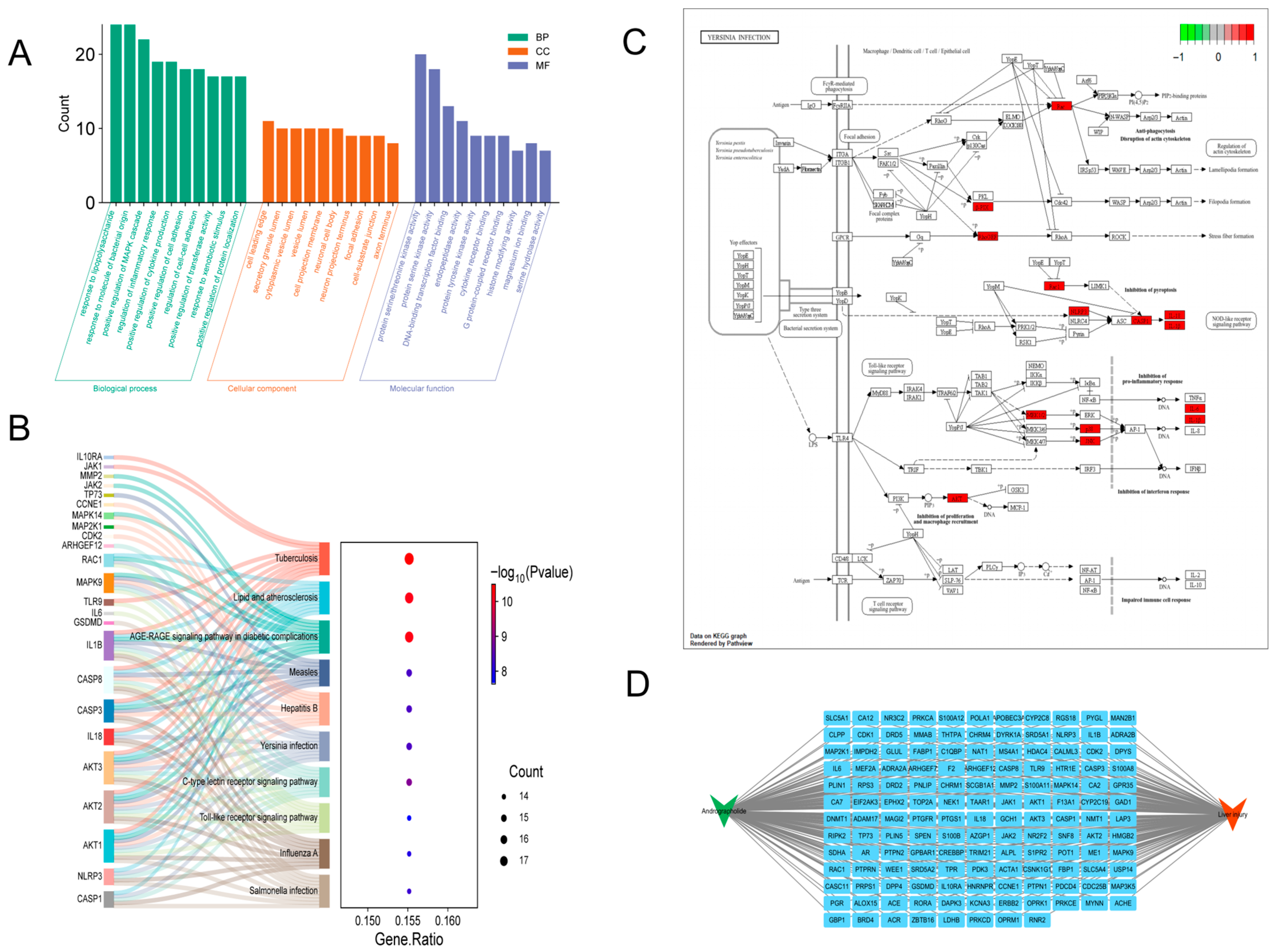 Biomolecules 15 01743 g002 Biomolecules 15 01743 g002