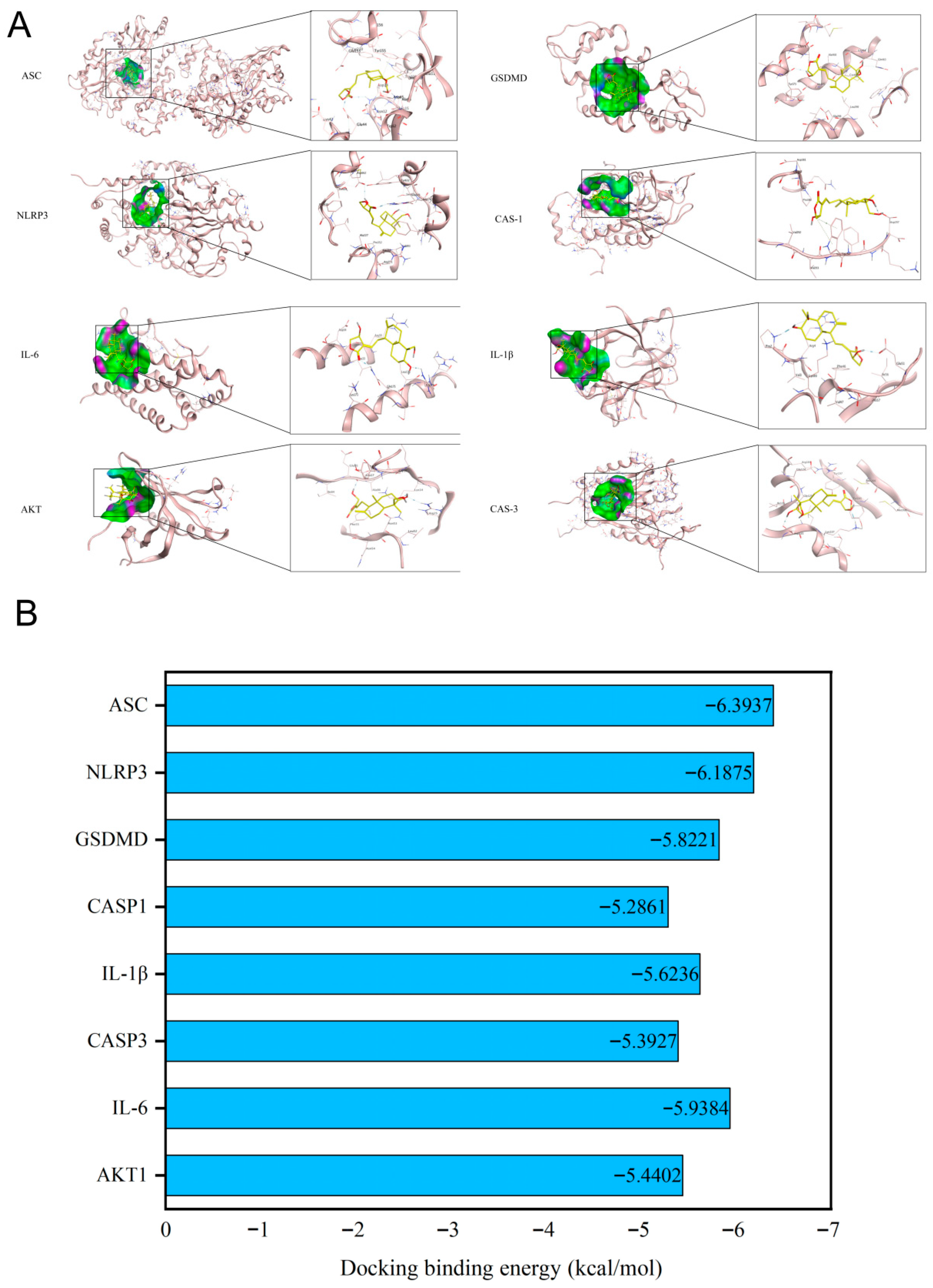 Biomolecules 15 01743 g003 Biomolecules 15 01743 g003