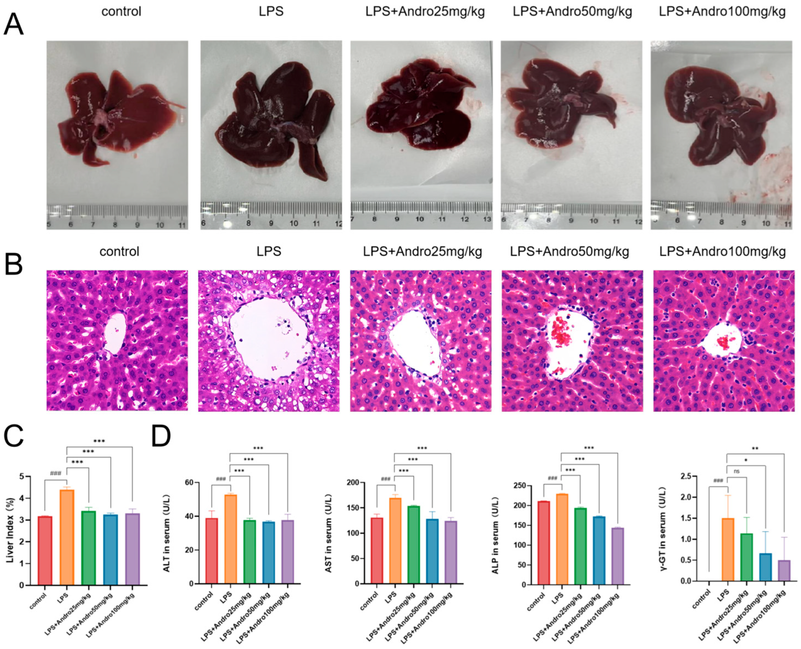 Biomolecules 15 01743 g004 Biomolecules 15 01743 g004