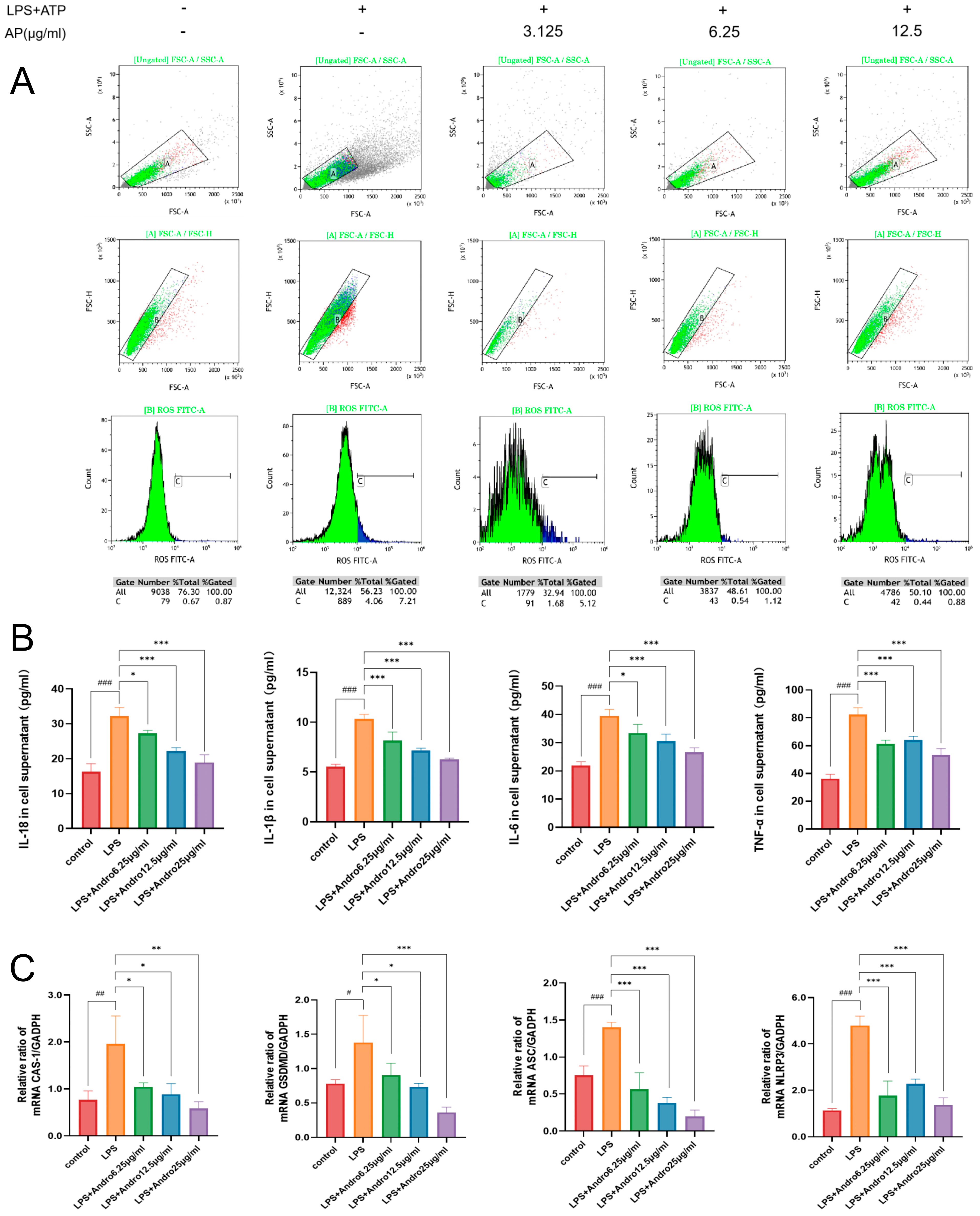 Biomolecules 15 01743 g008 Biomolecules 15 01743 g008