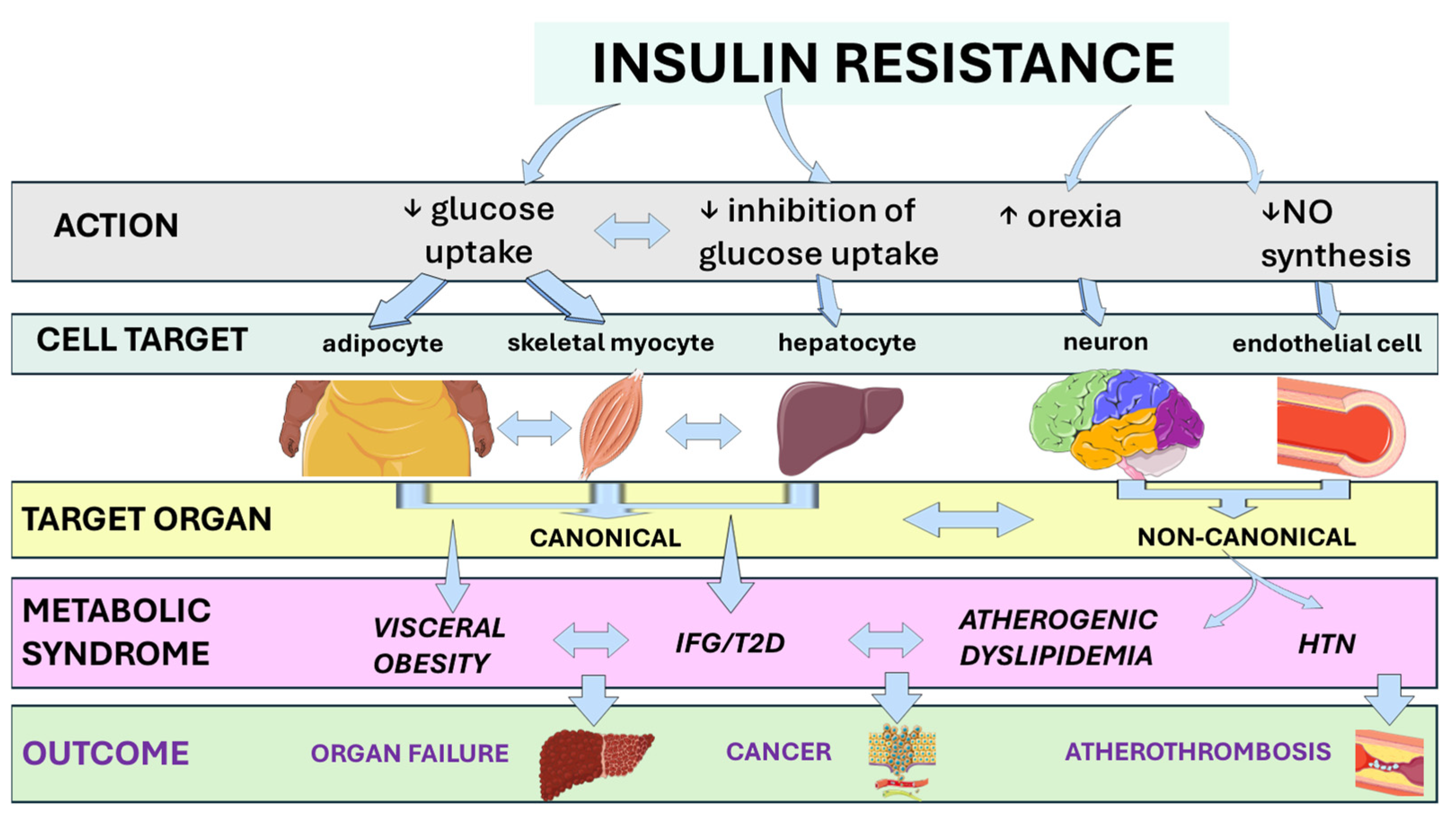 Biomolecules 15 01745 g001 Biomolecules 15 01745 g001