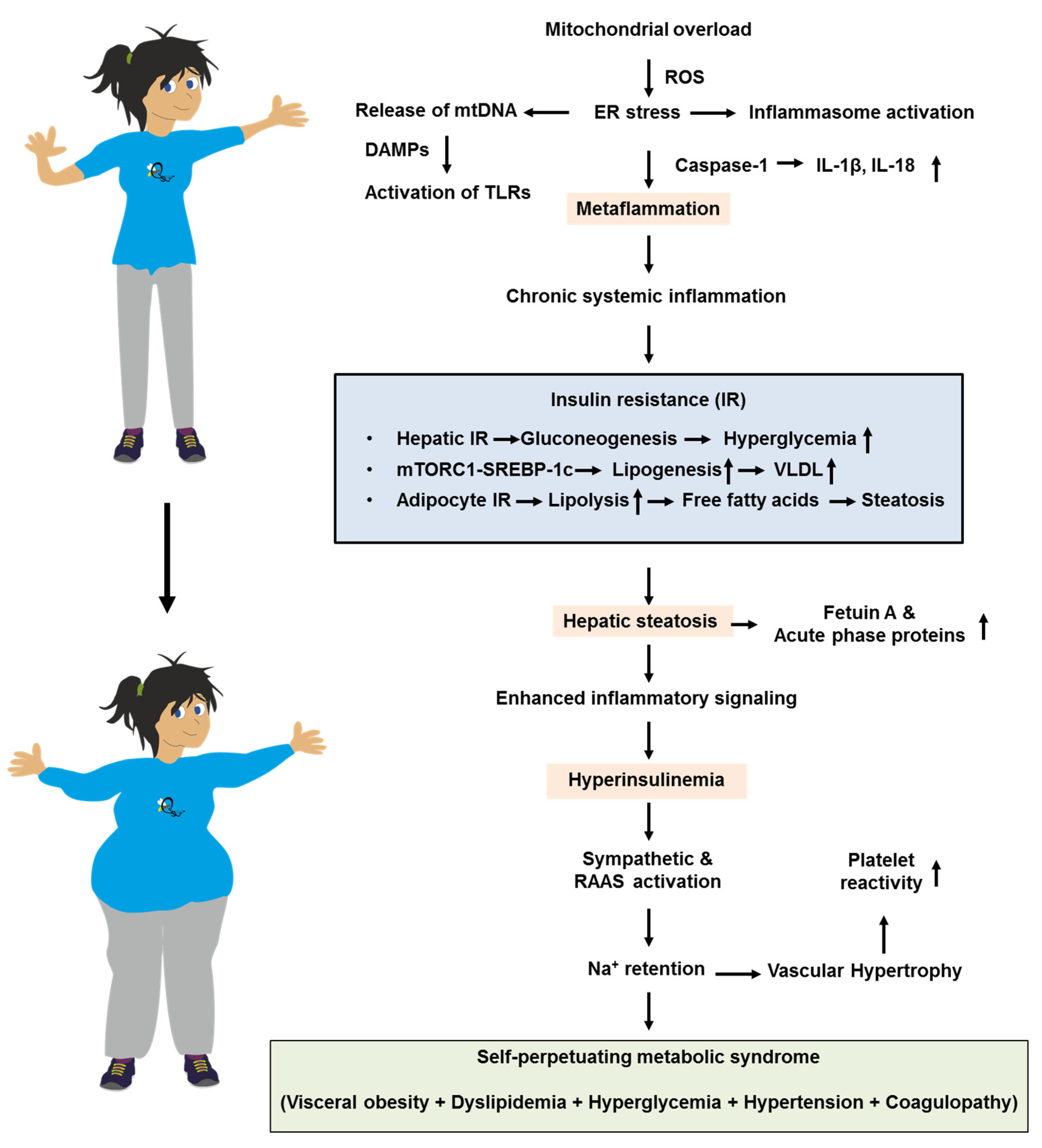 Biomolecules 15 01745 g002 Biomolecules 15 01745 g002