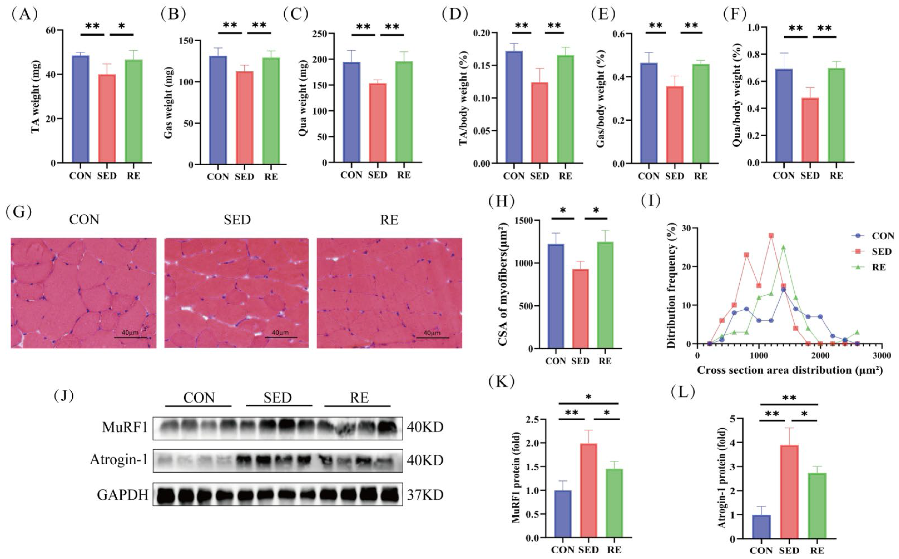 Biomolecules 16 00003 g002 Biomolecules 16 00003 g002