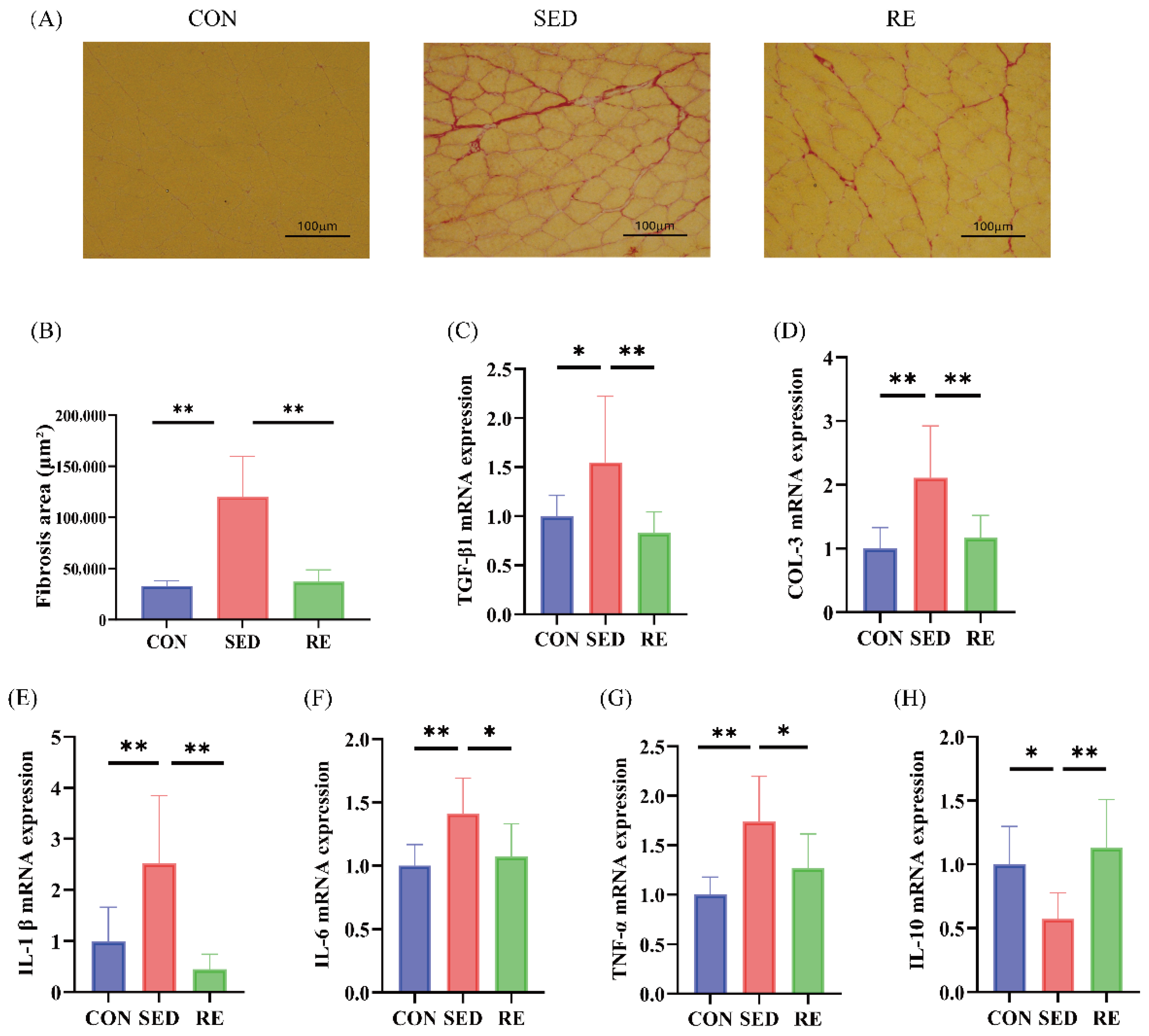 Biomolecules 16 00003 g003 Biomolecules 16 00003 g003