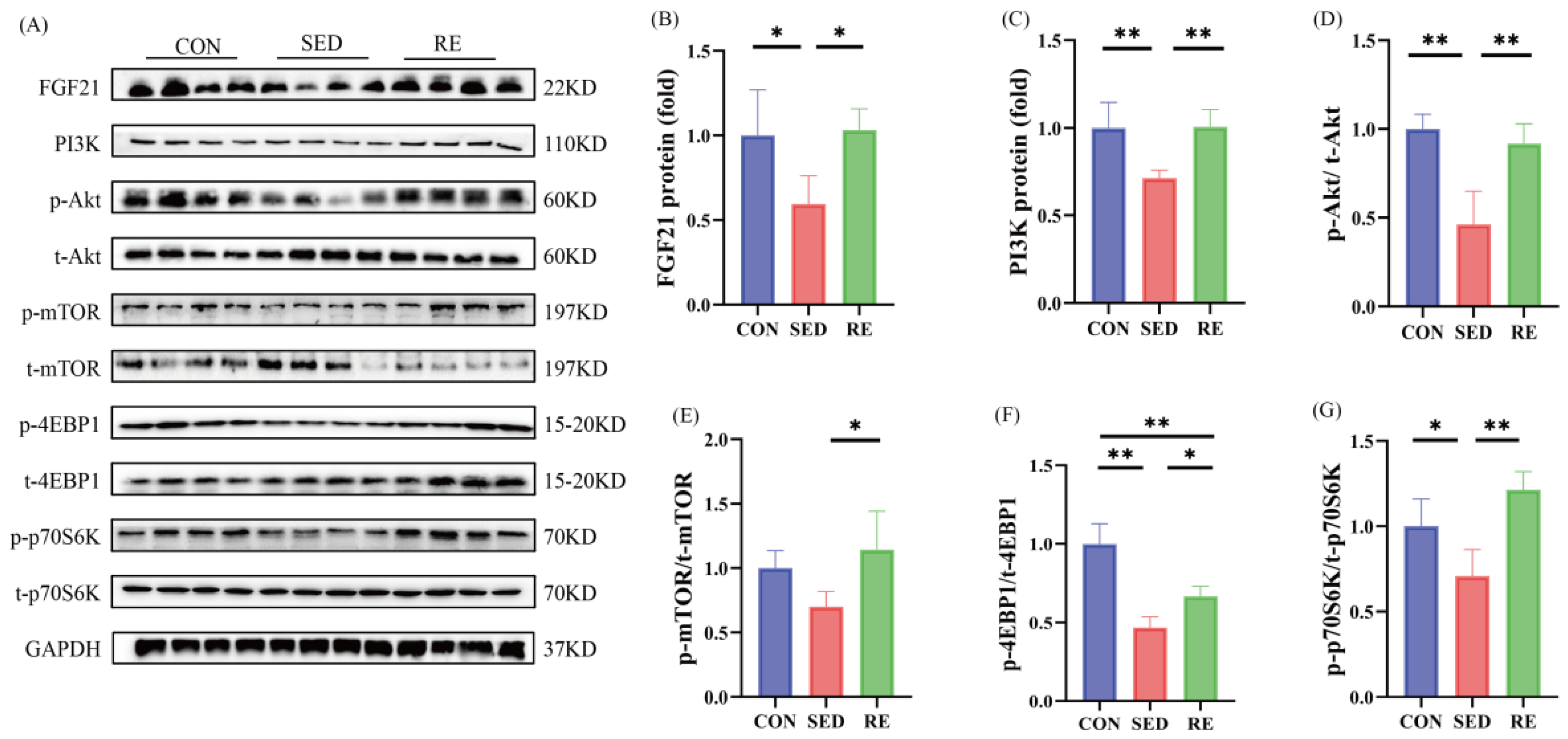 Biomolecules 16 00003 g004 Biomolecules 16 00003 g004