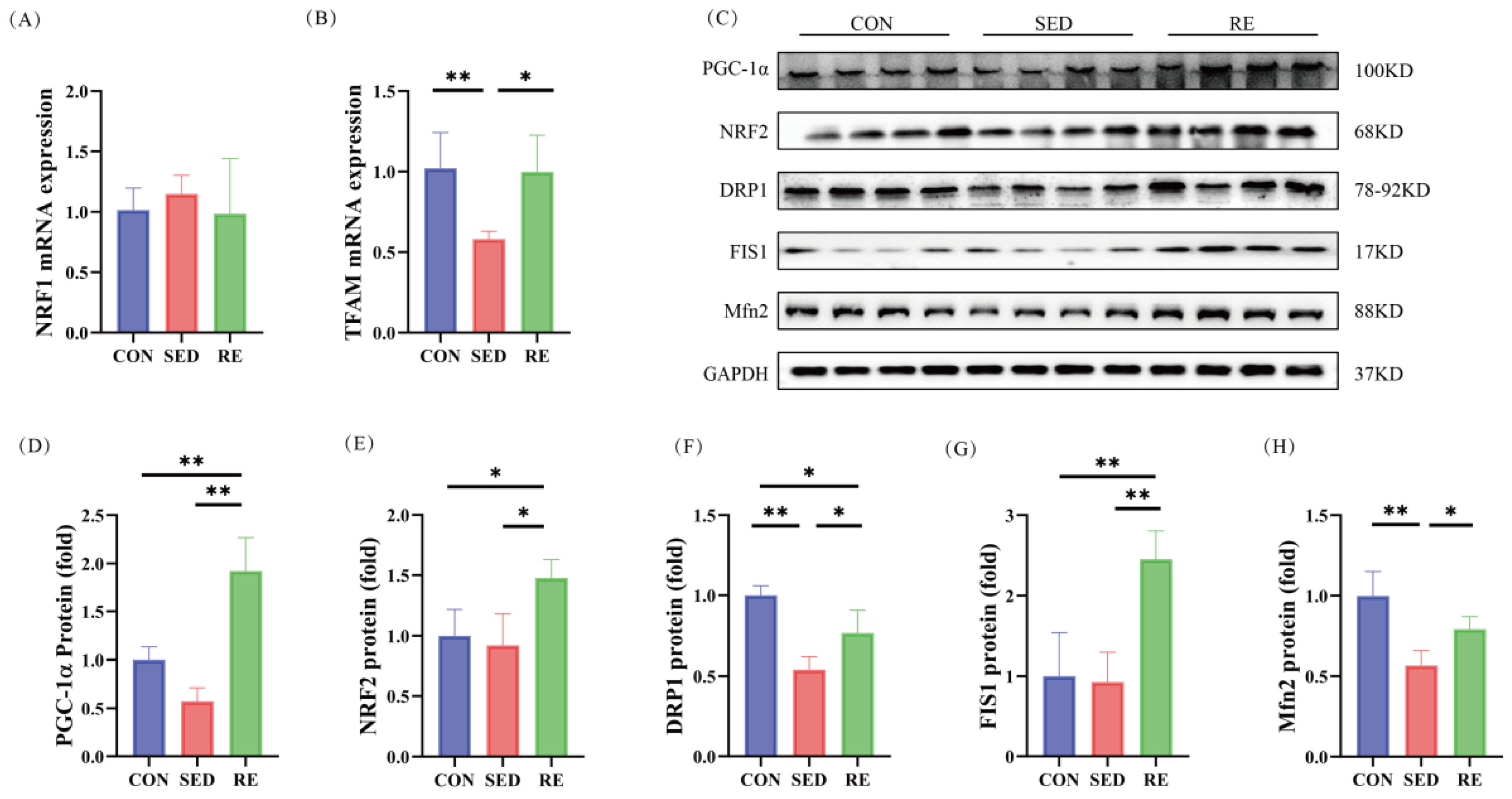 Biomolecules 16 00003 g006 Biomolecules 16 00003 g006
