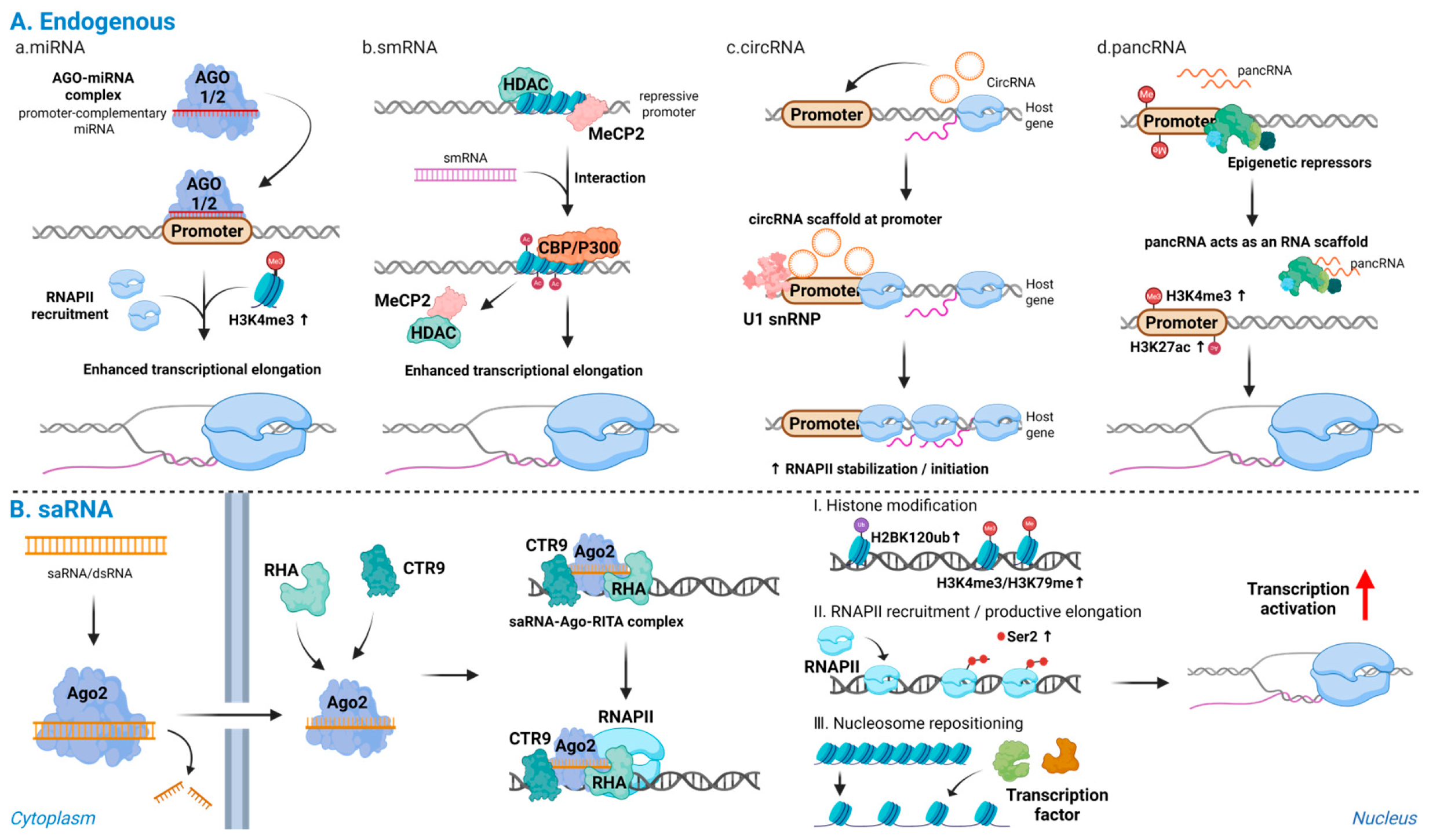 Biomolecules 16 00005 g002