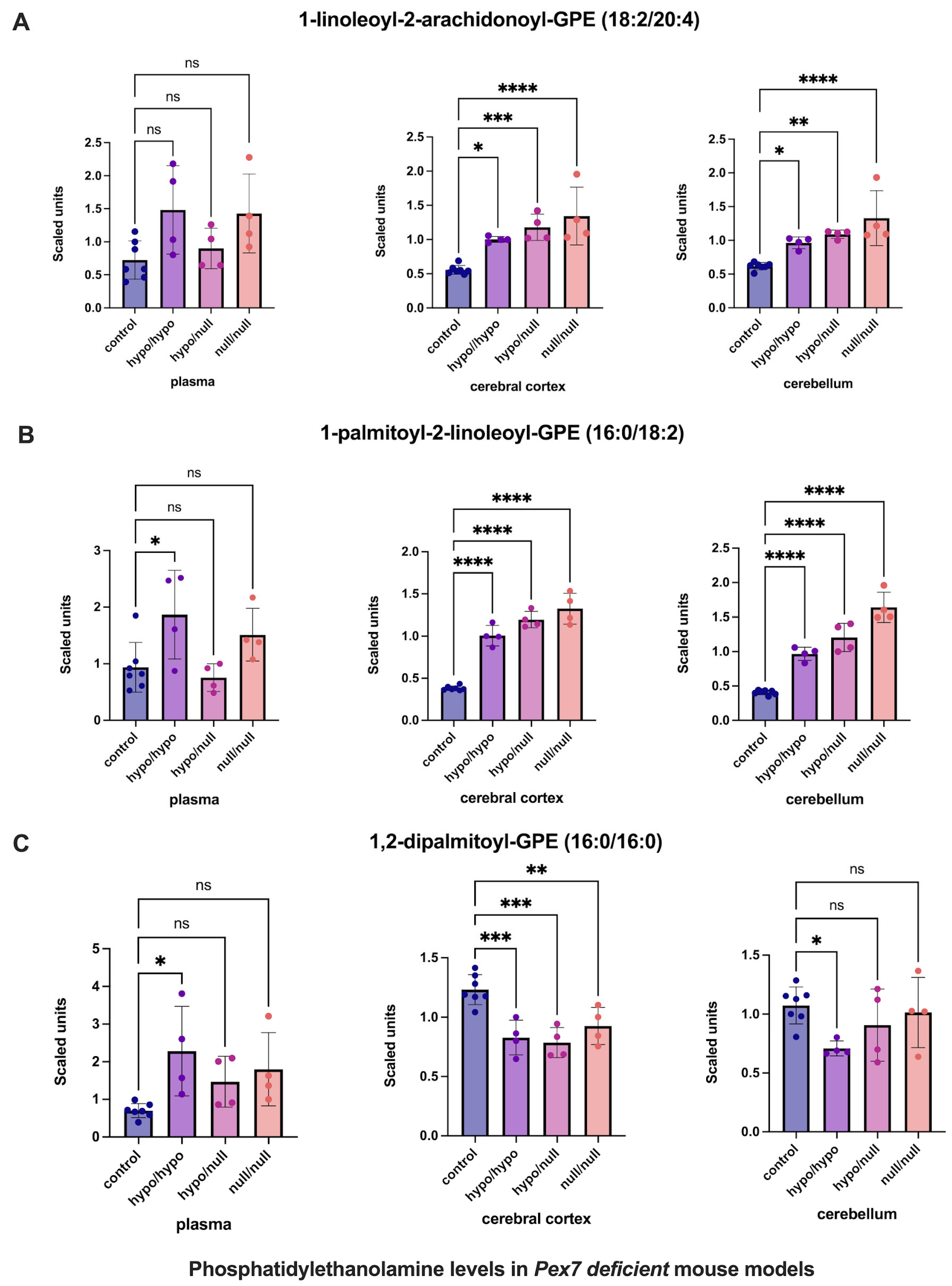 Biomolecules 16 00006 g004