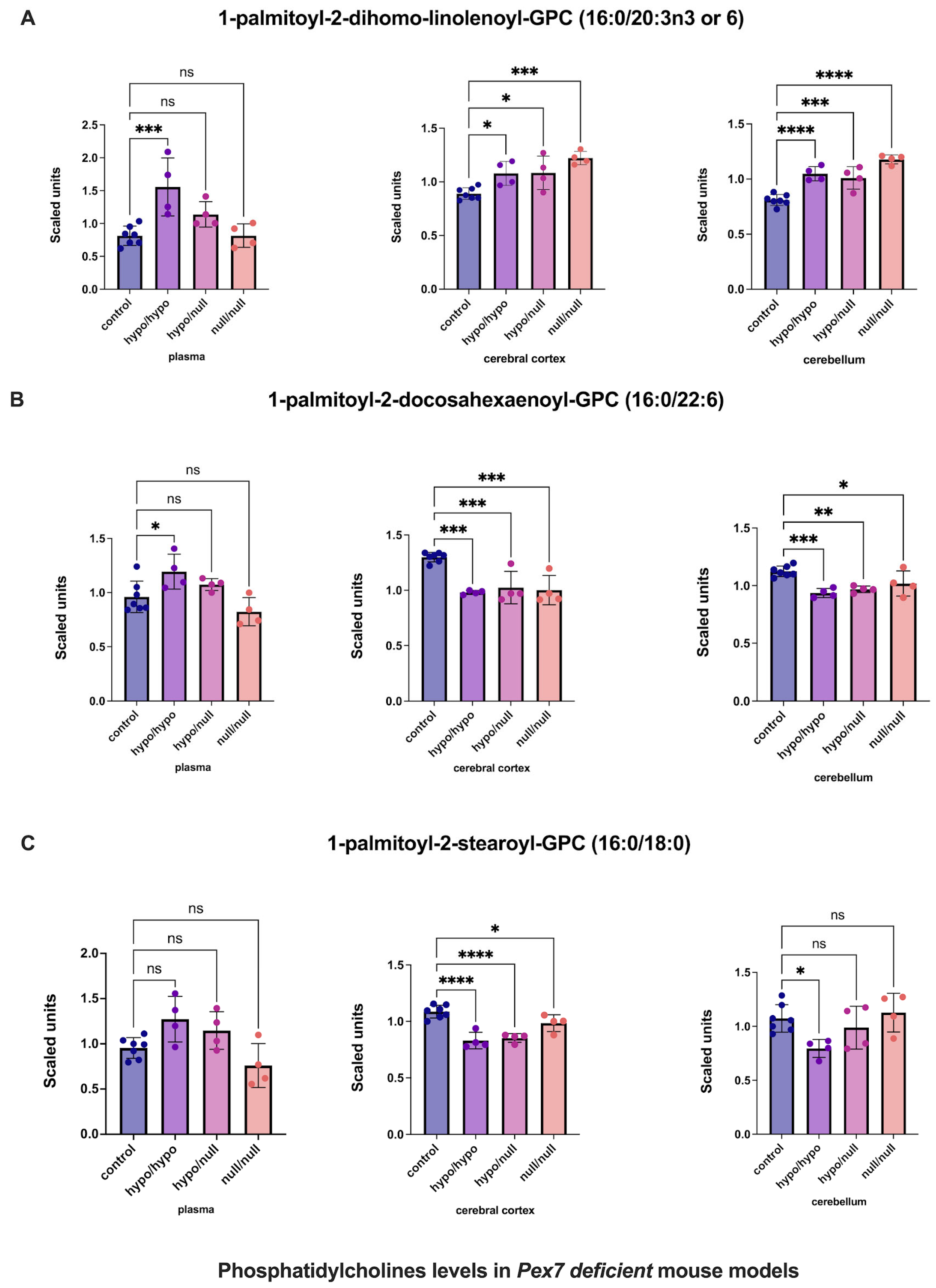 Biomolecules 16 00006 g005