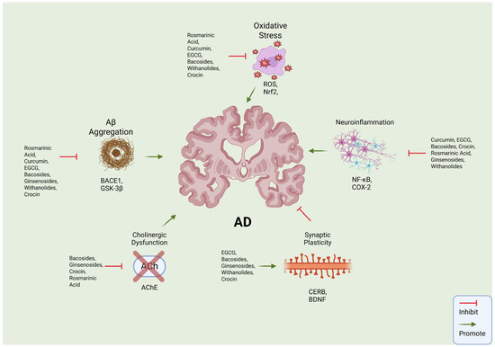 Advances in Bioactive Compounds from Plants and Their Applications