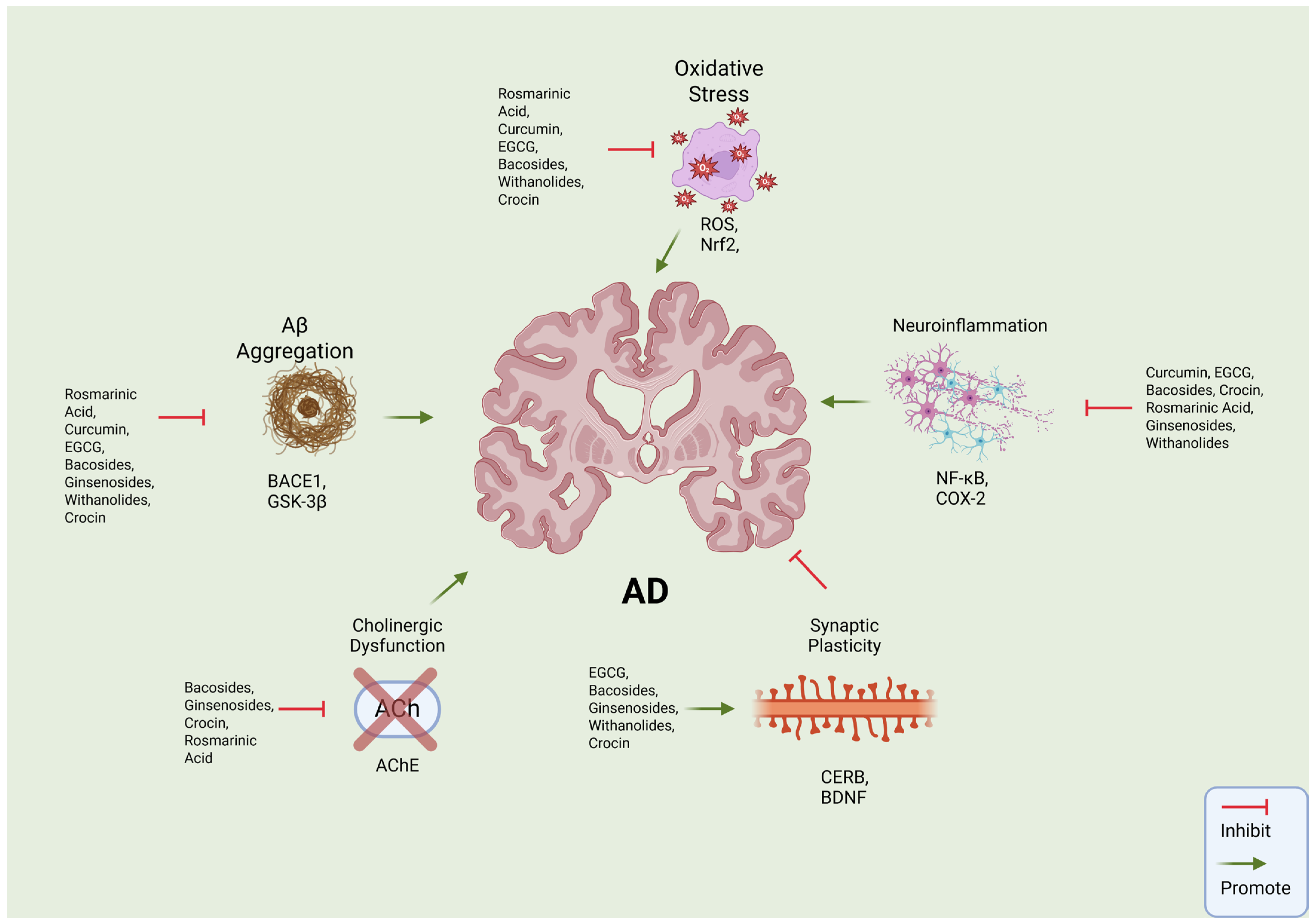 Biomolecules 16 00007 g001