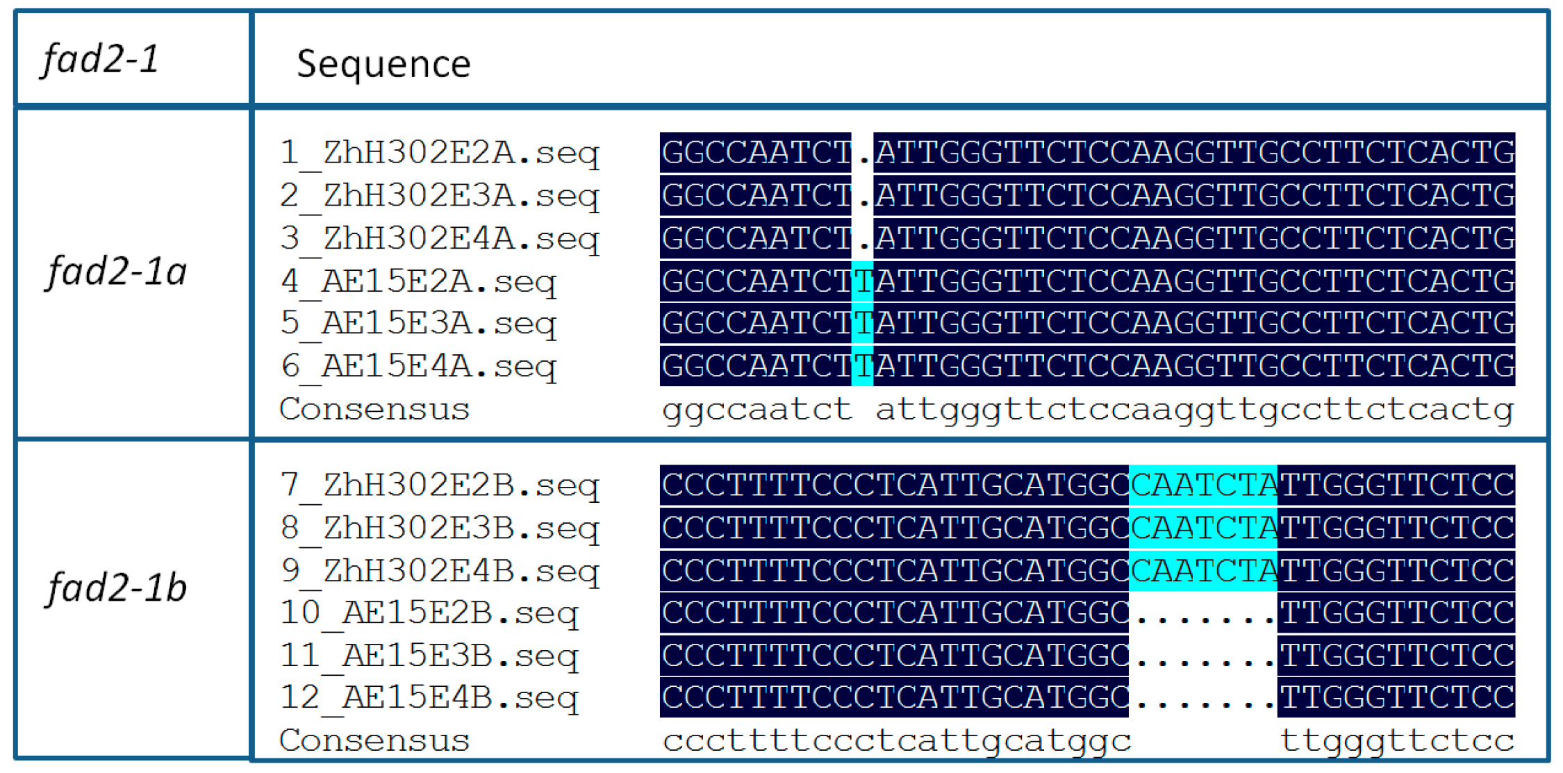 Biomolecules 16 00008 g001