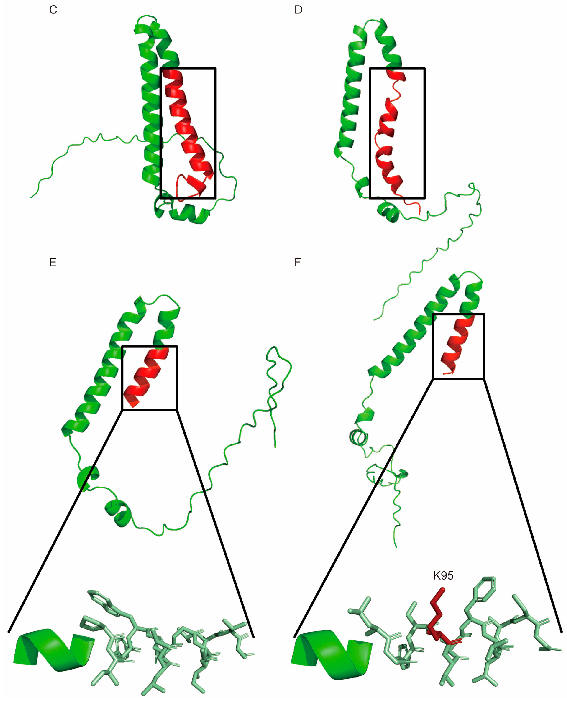 Biomolecules 16 00008 g006b
