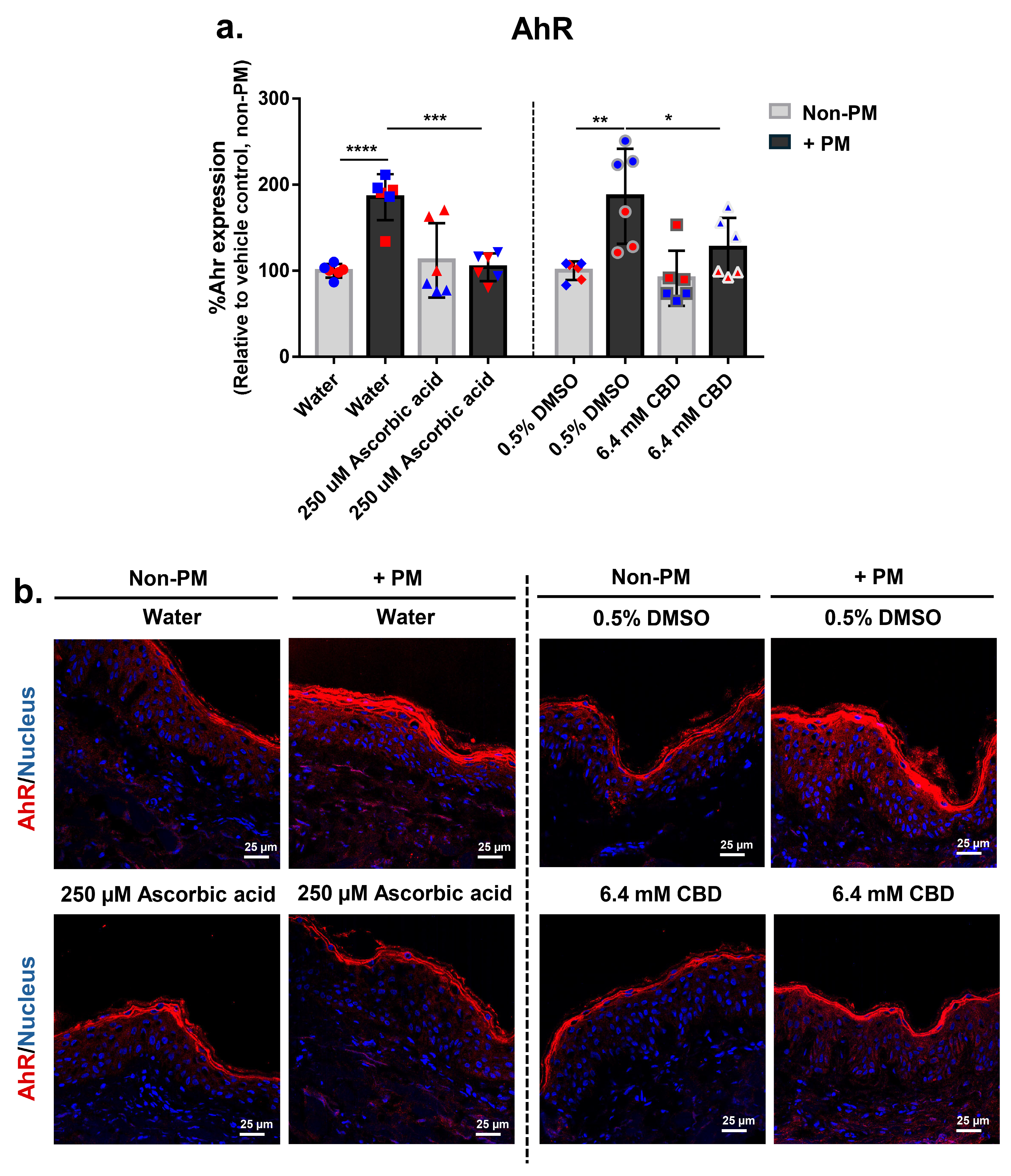 Biomolecules 16 00010 g004 Biomolecules 16 00010 g004