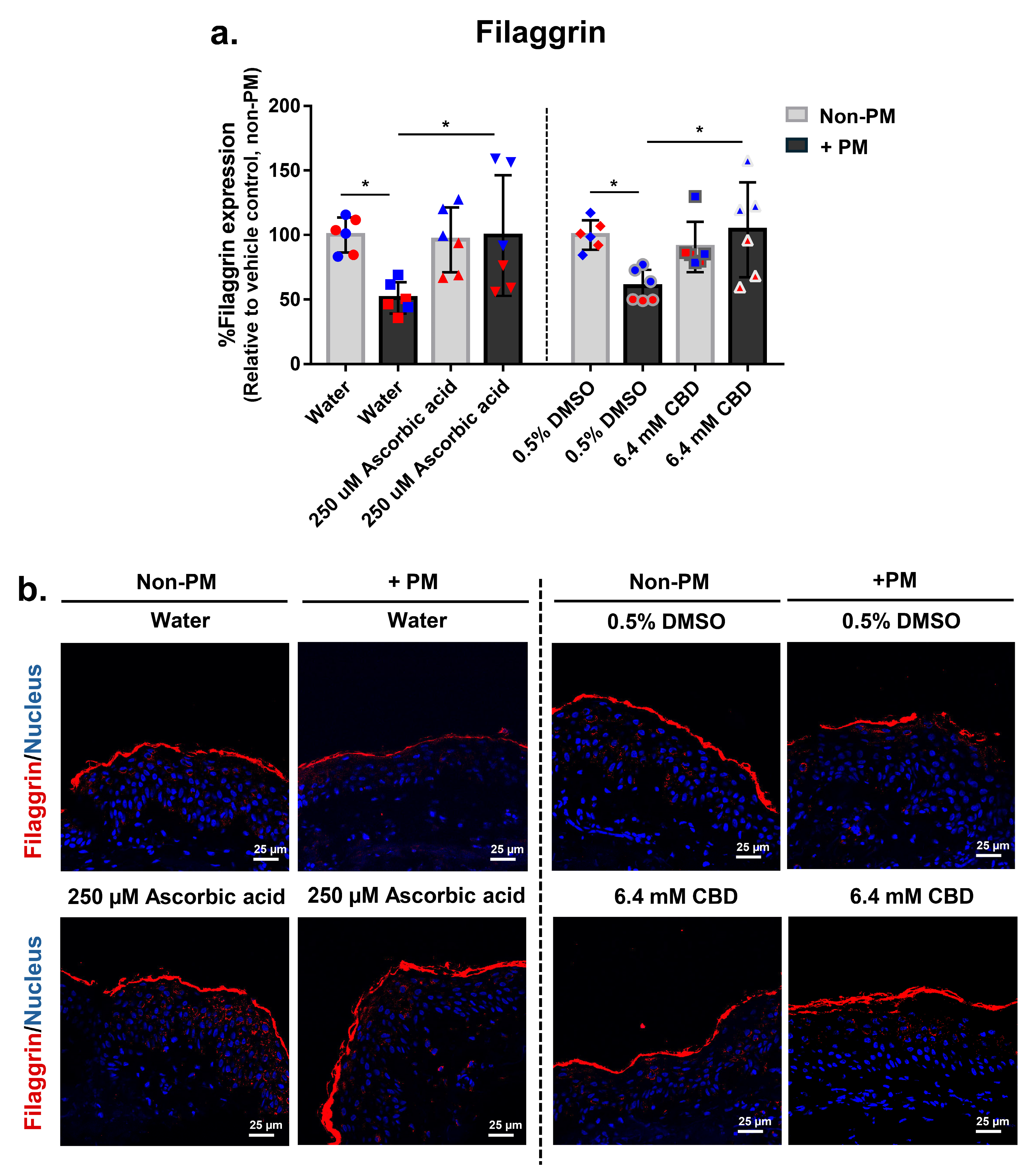 Biomolecules 16 00010 g006 Biomolecules 16 00010 g006
