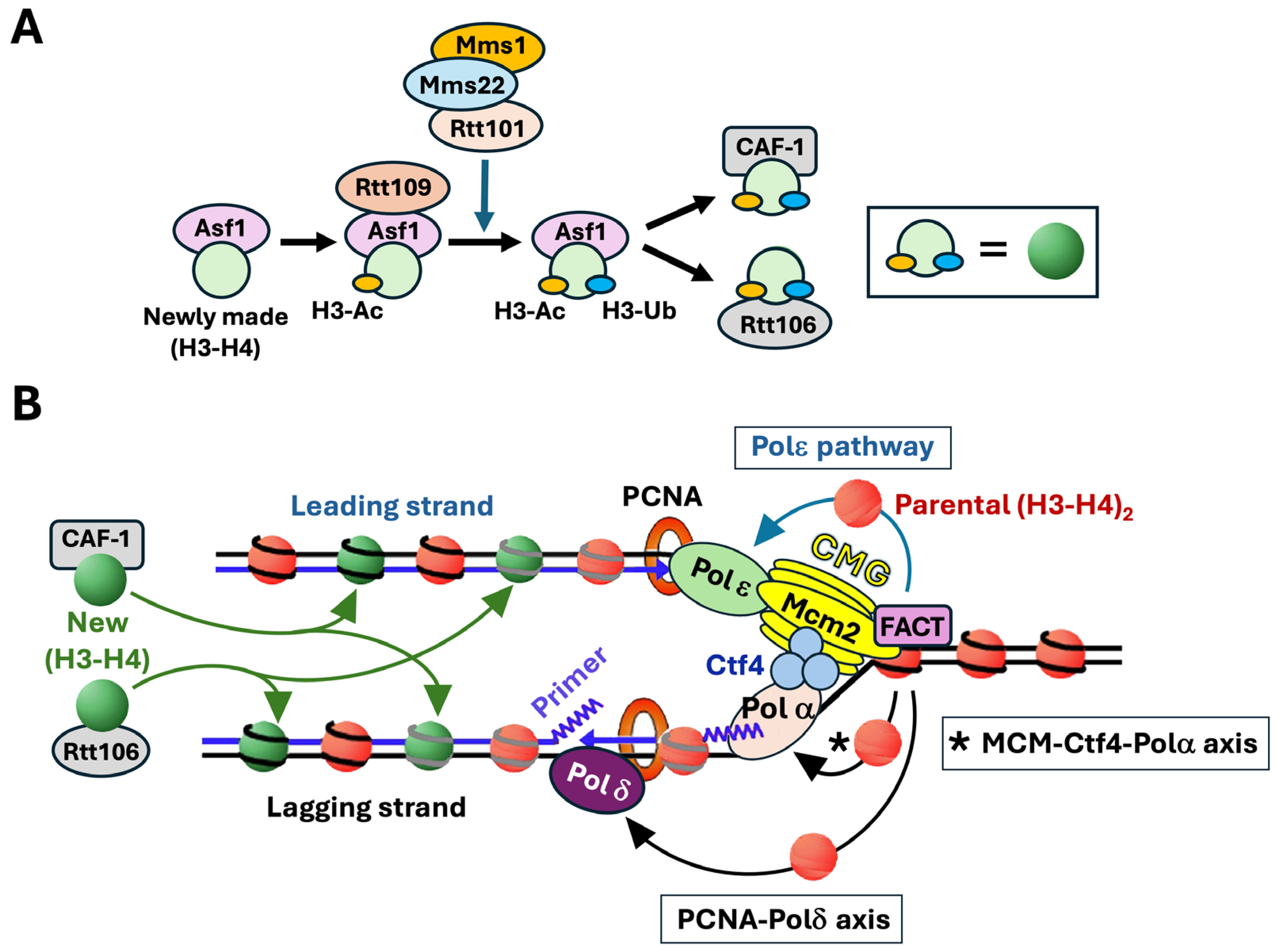 Biomolecules 16 00013 g002