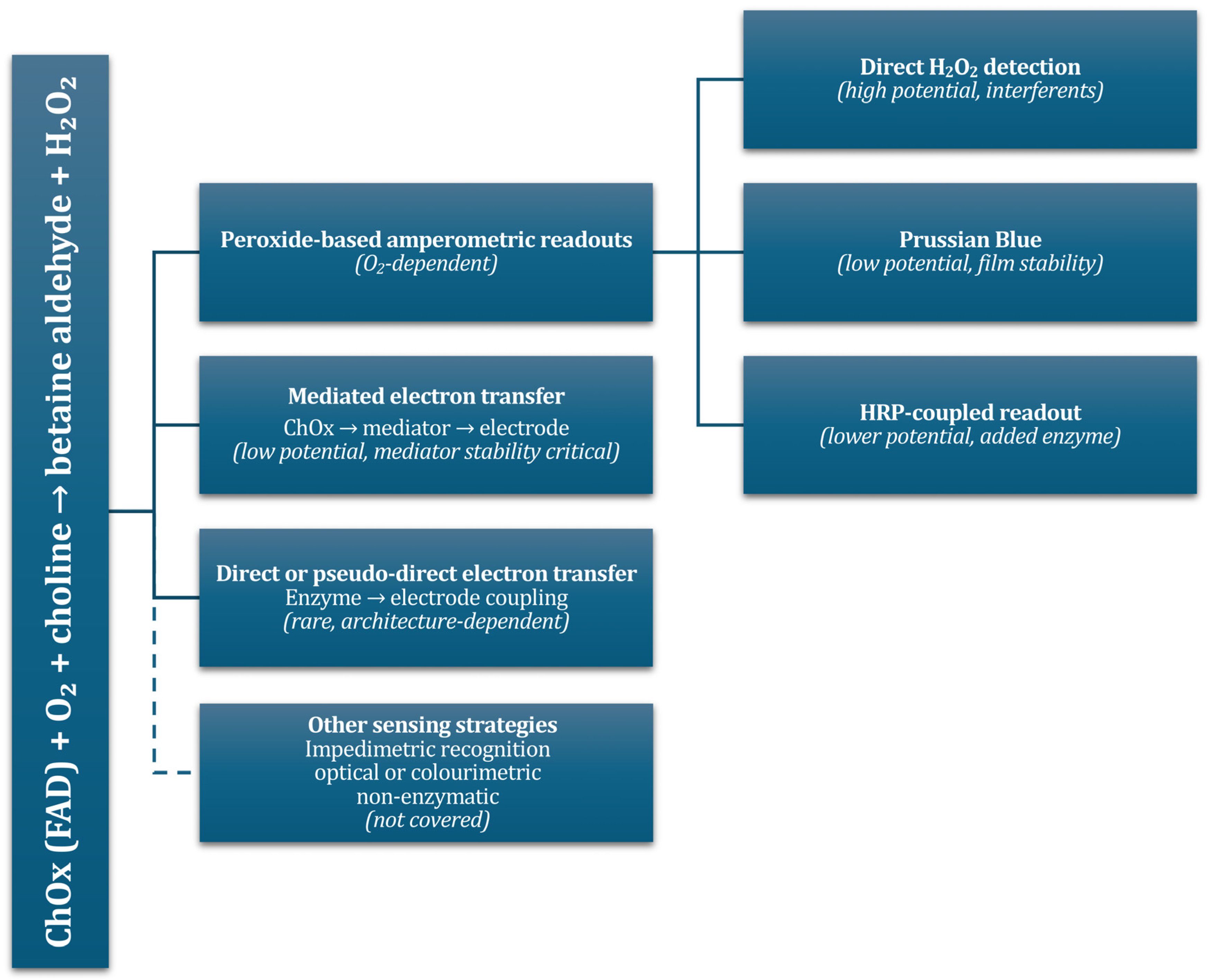 Biomolecules 16 00023 g001