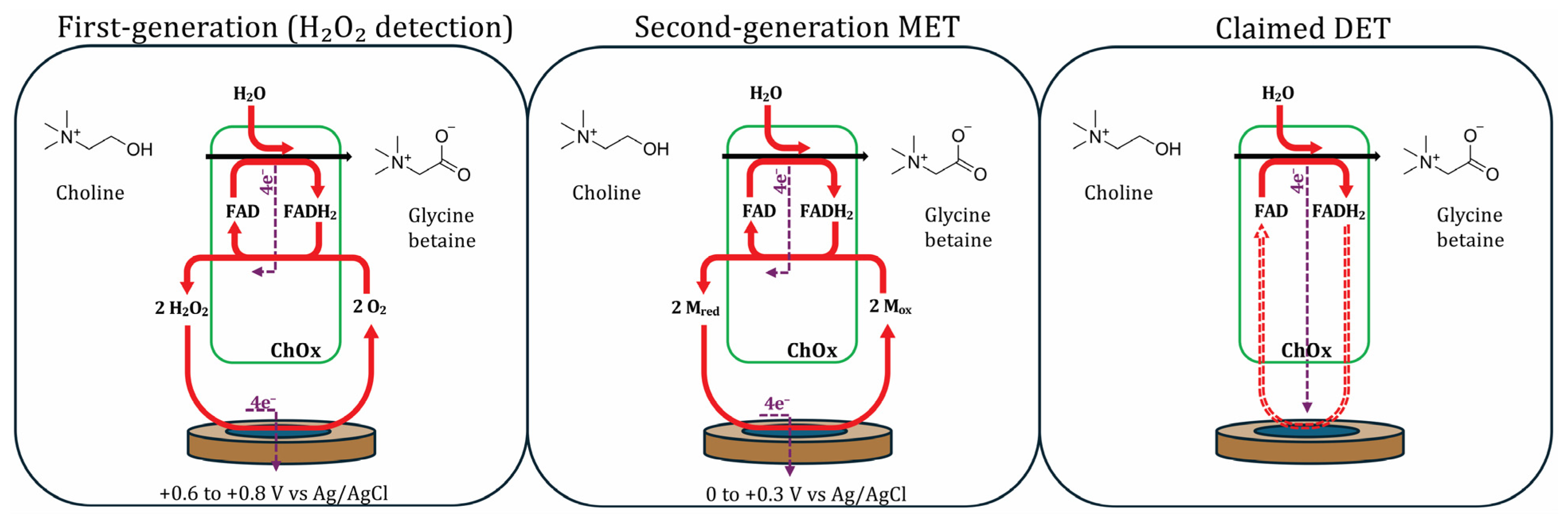 Biomolecules 16 00023 sch002