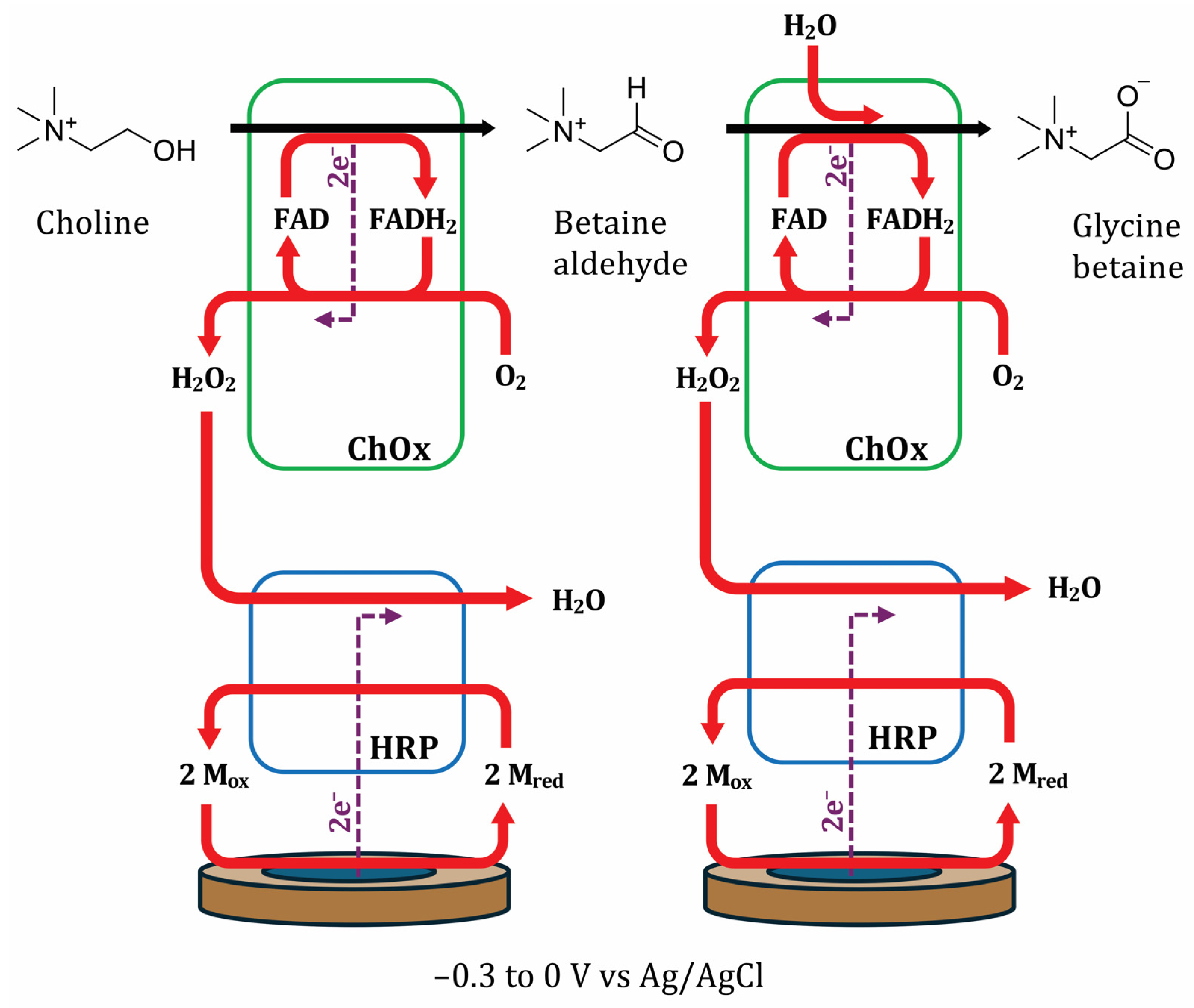 Biomolecules 16 00023 sch003