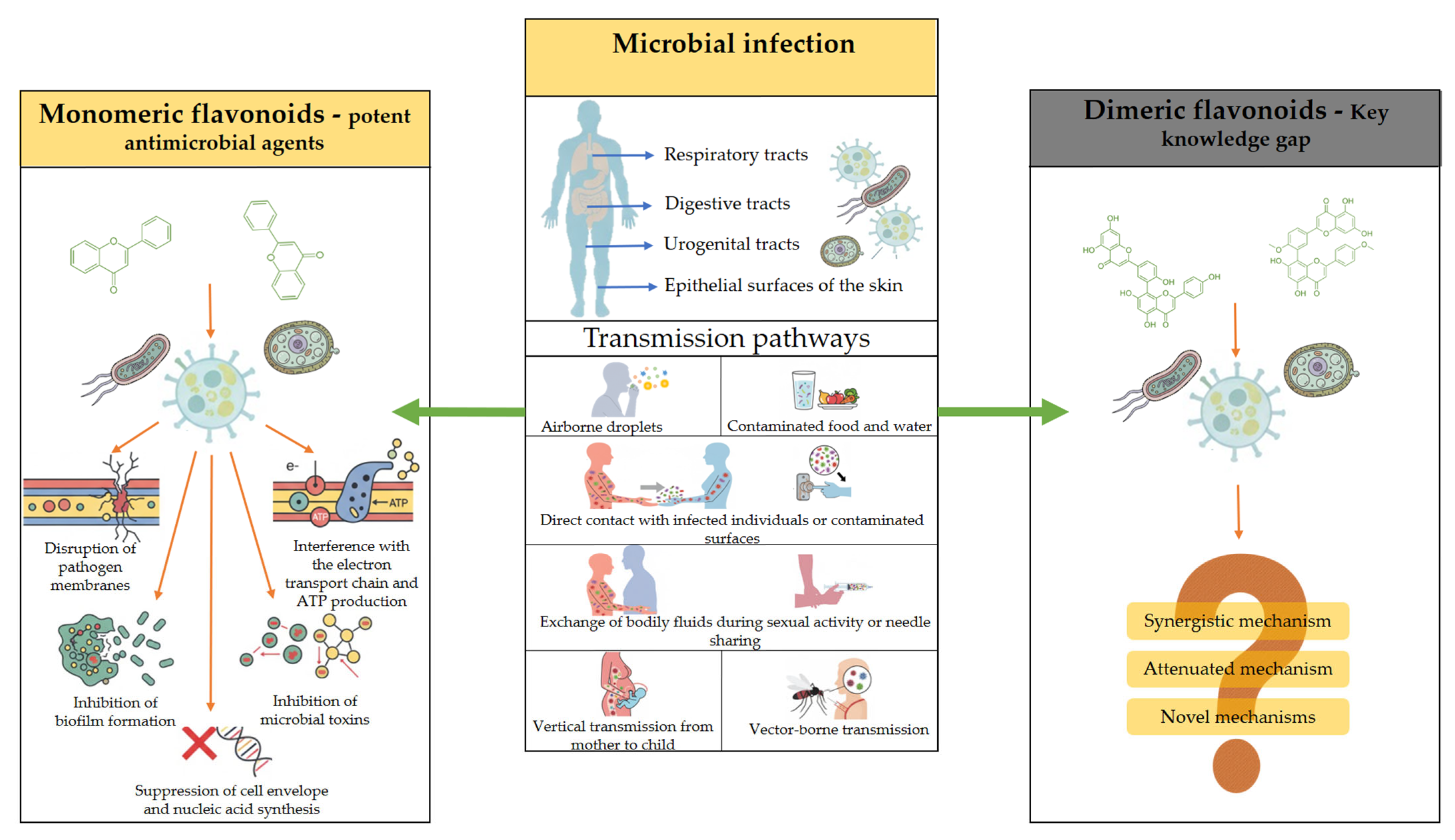Biomolecules 16 00024 g002