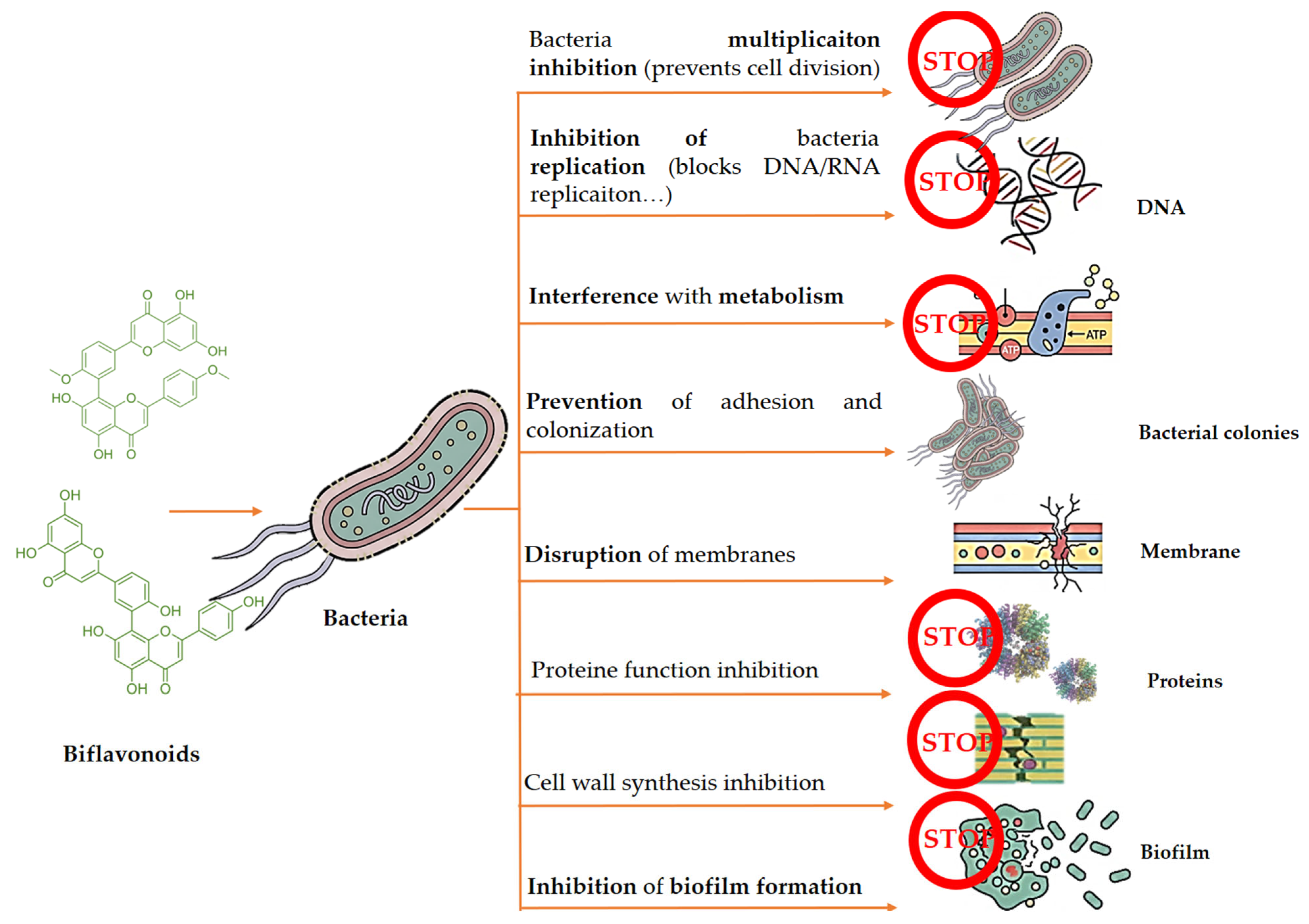 Biomolecules 16 00024 g004