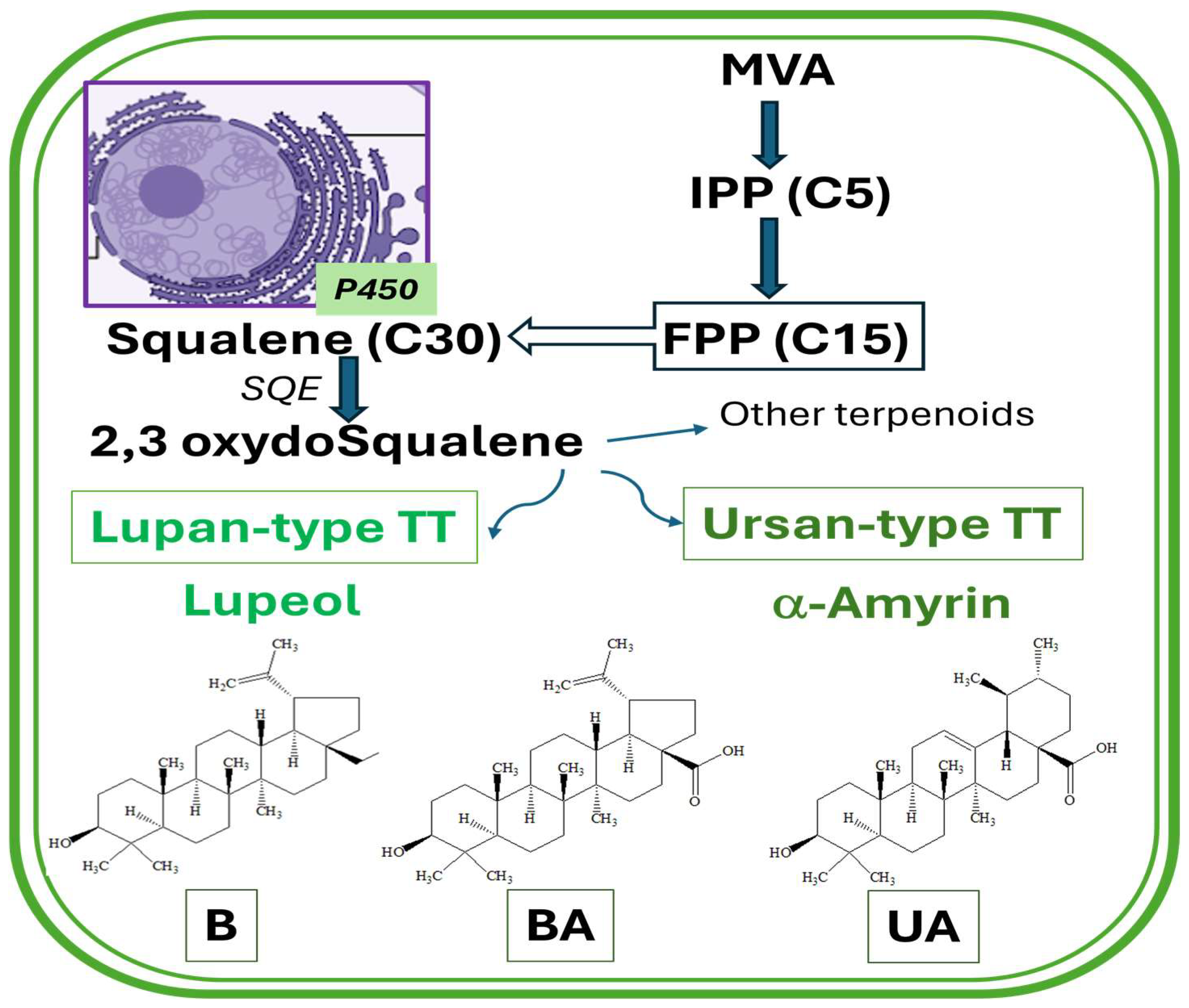 Biomolecules 16 00025 g001