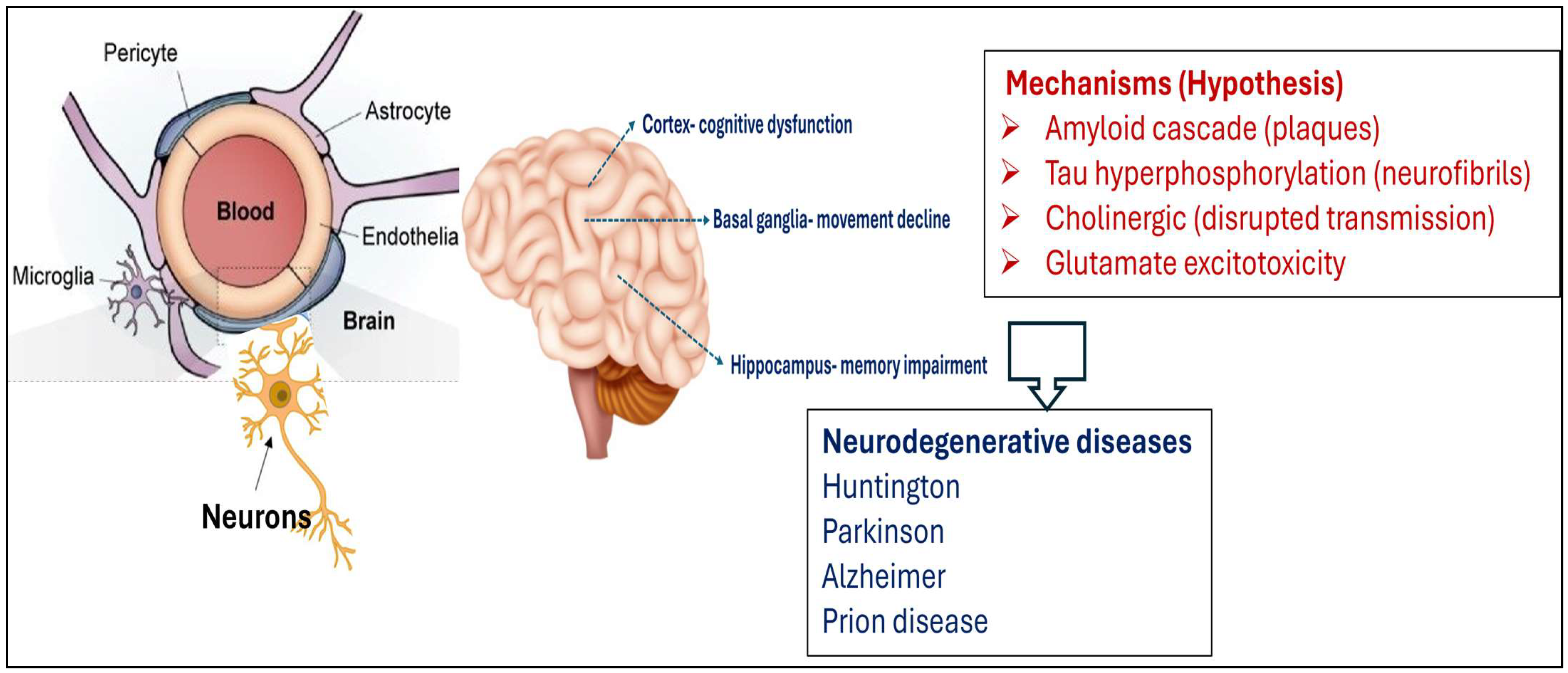 Biomolecules 16 00025 g004