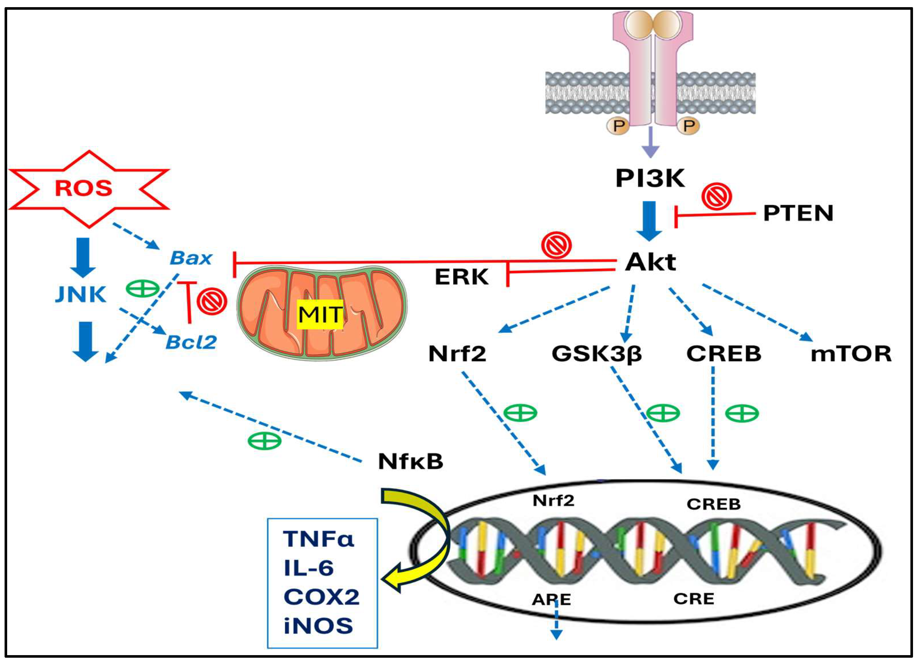 Biomolecules 16 00025 g005
