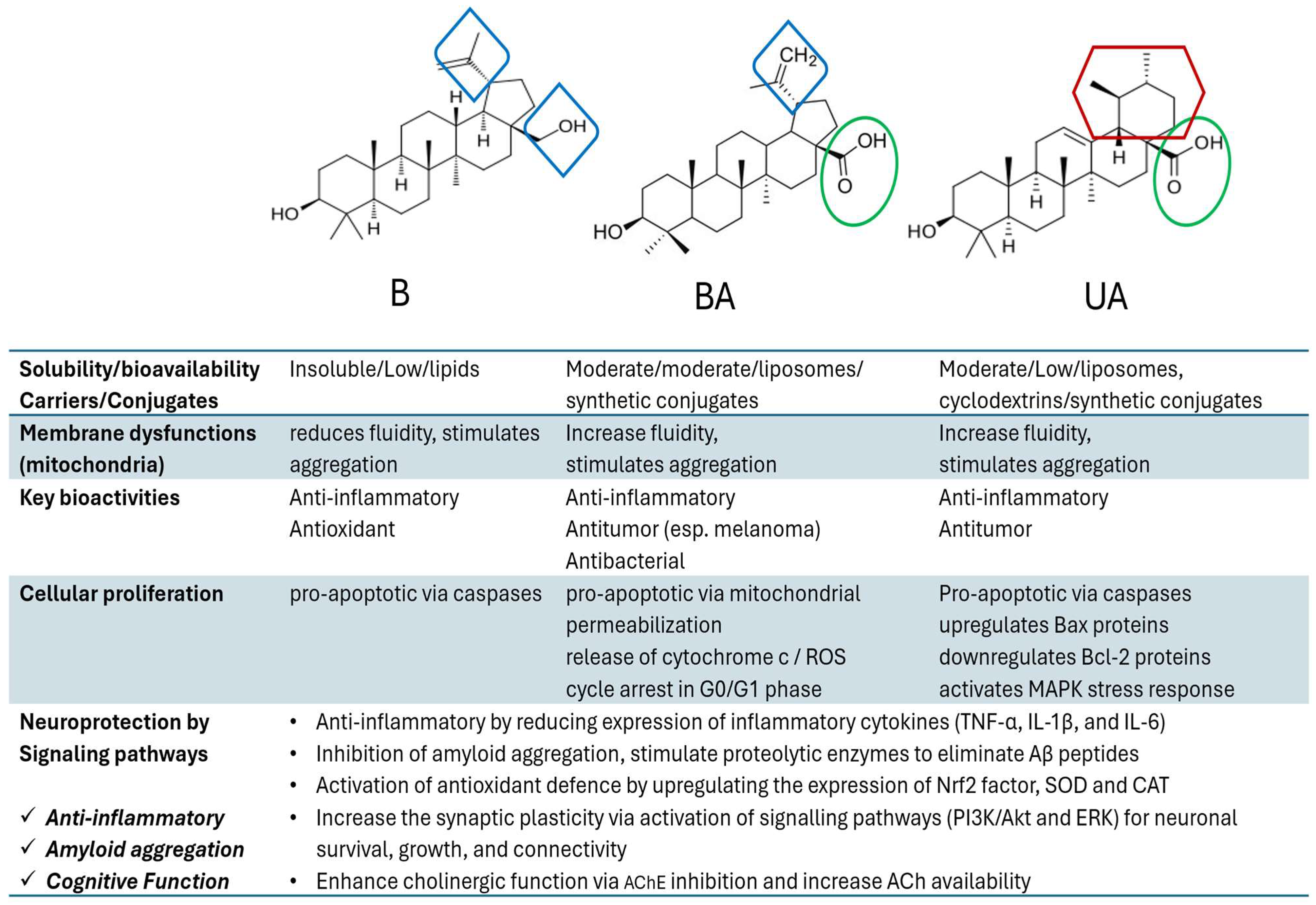 Biomolecules 16 00025 g006