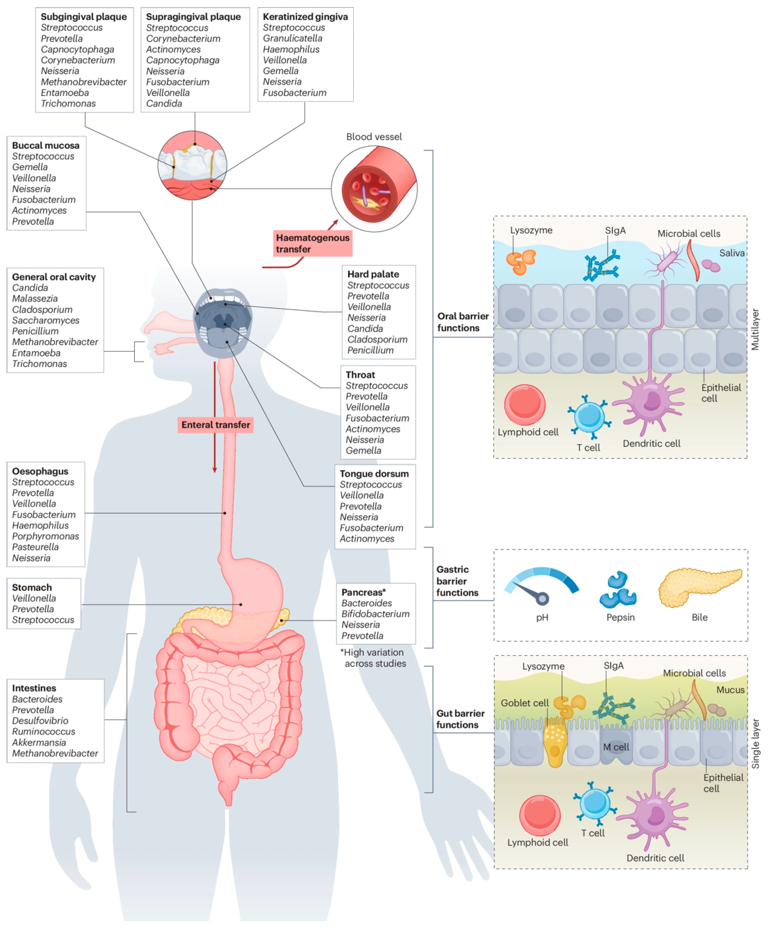 Biomolecules 16 00026 g001