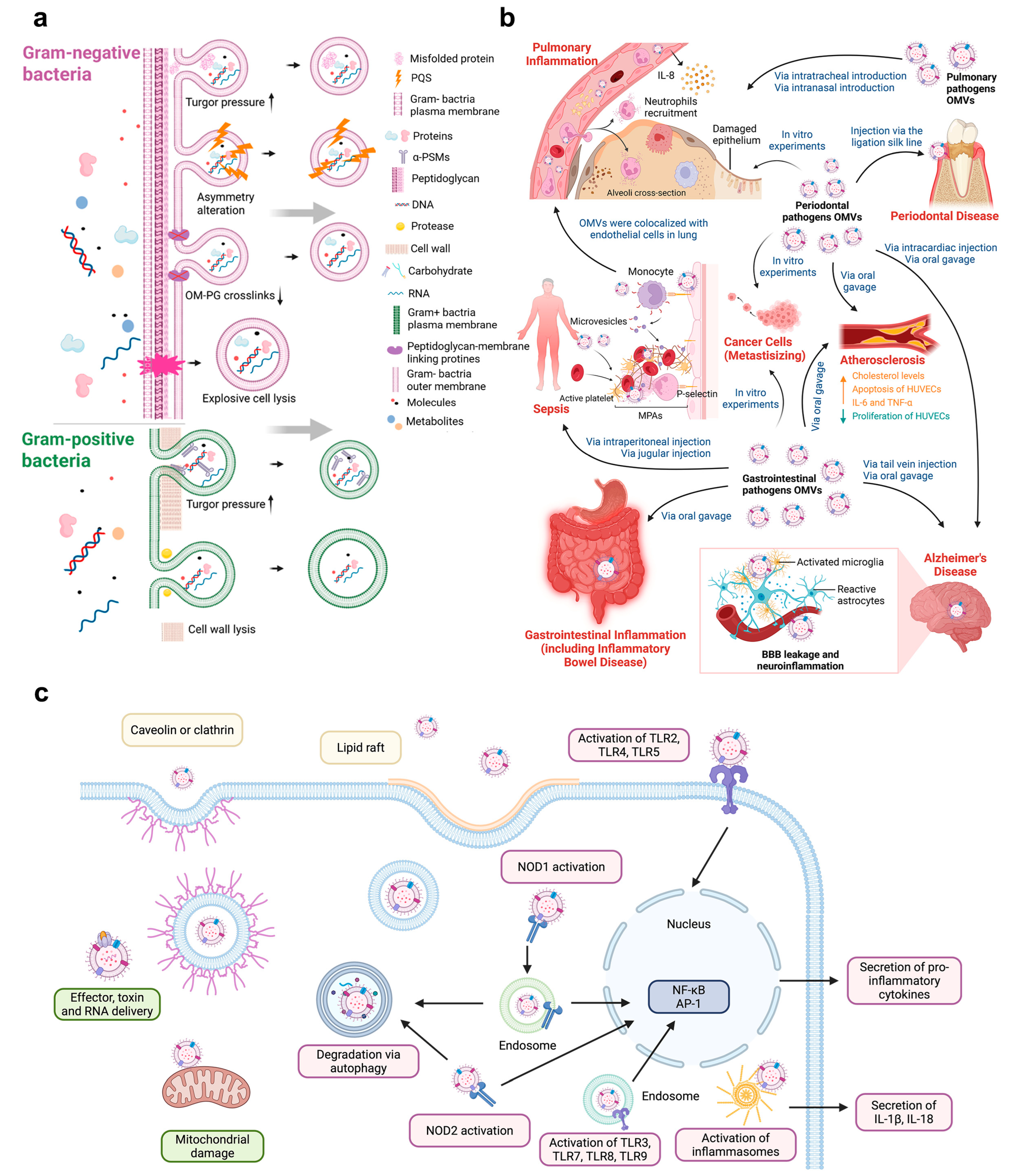 Biomolecules 16 00026 g003