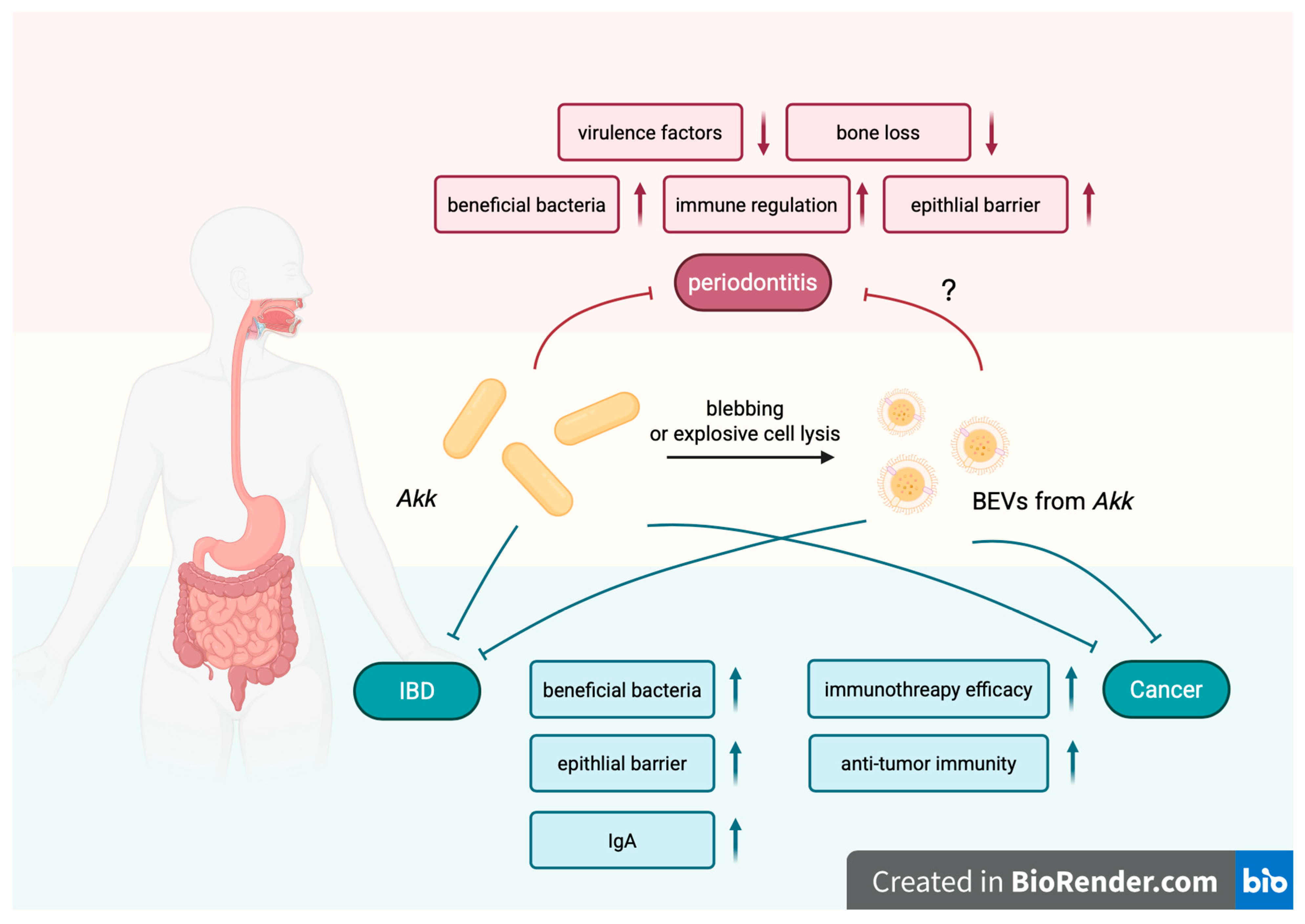 Biomolecules 16 00026 g004