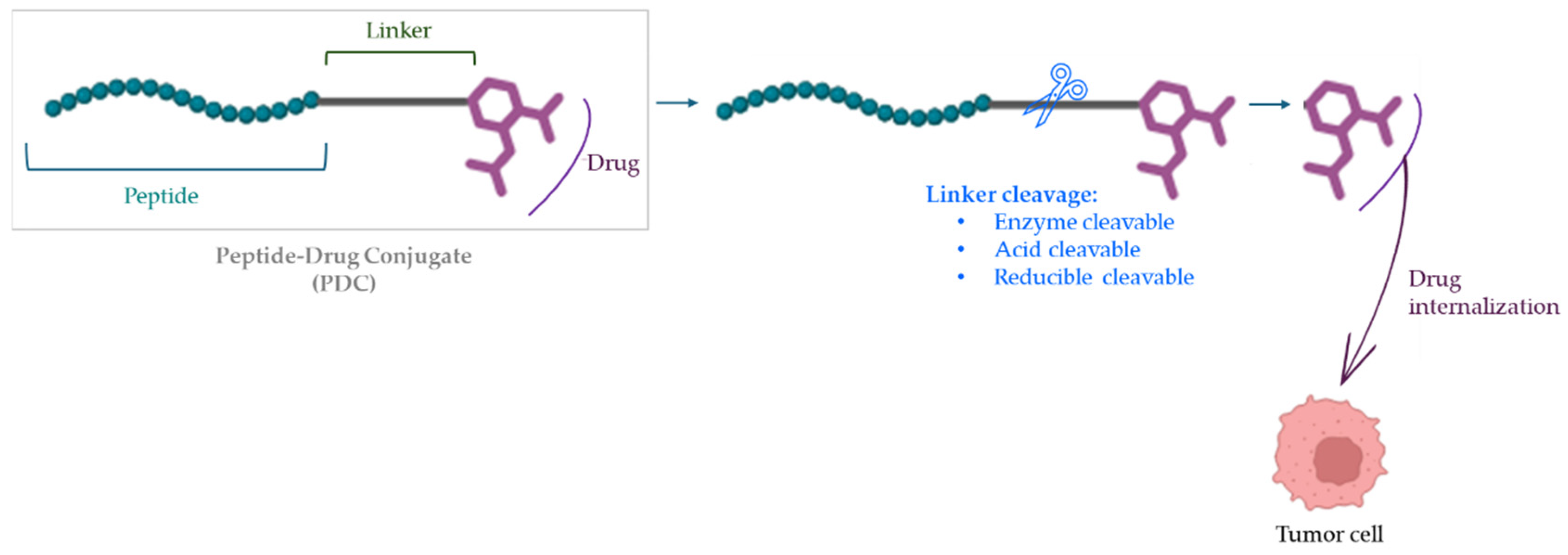 Biomolecules 16 00027 g002