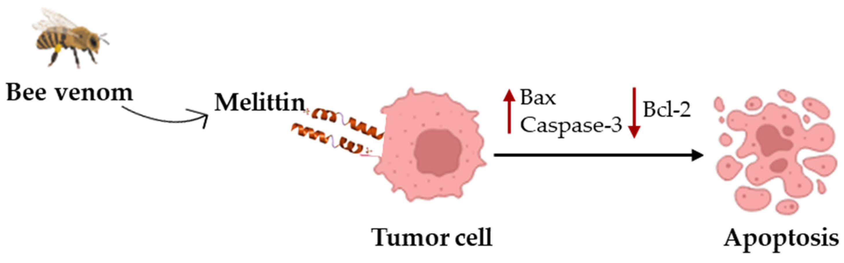Biomolecules 16 00027 g003