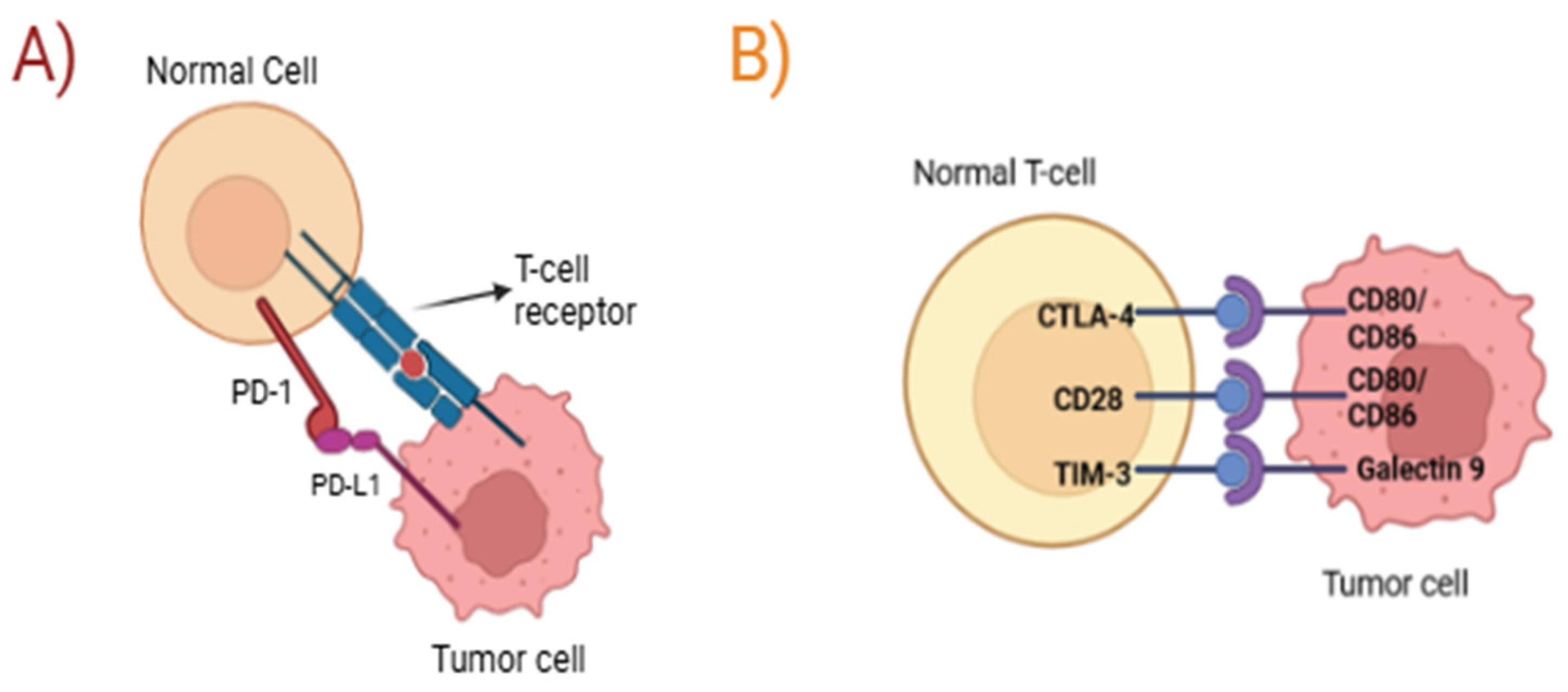 Biomolecules 16 00027 g004